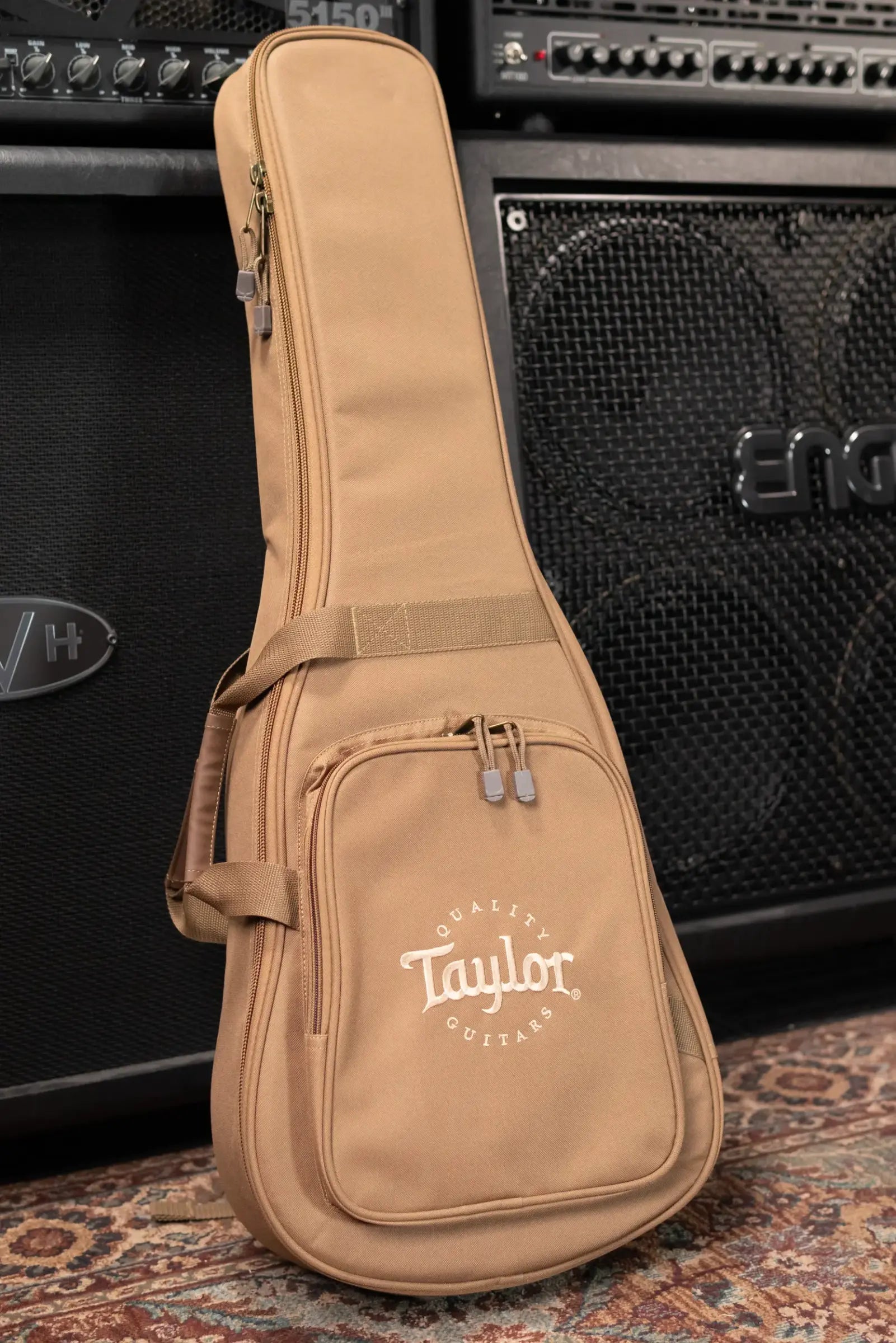 Taylor BT2 Mahogany Acoustic Guitar with Gig Bag