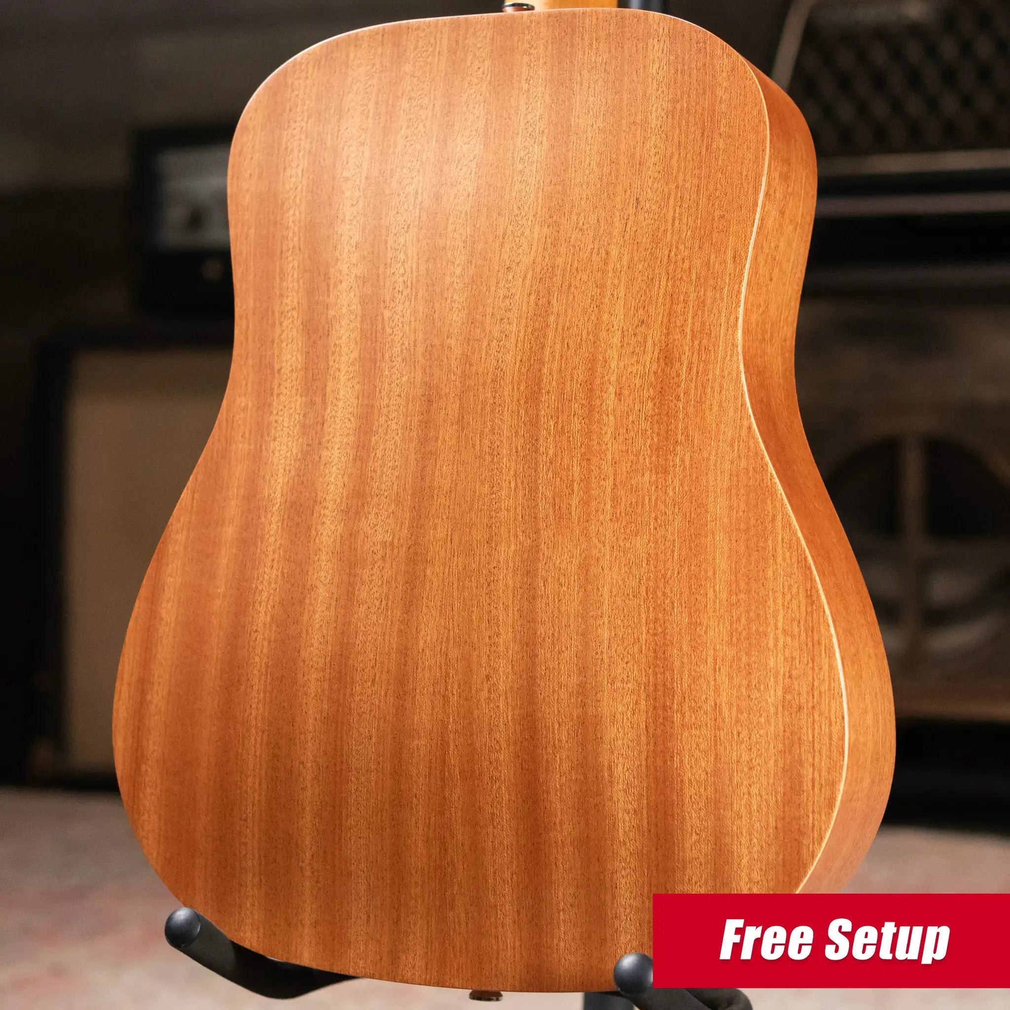 Taylor BT2 Mahogany Acoustic Guitar with Gig Bag