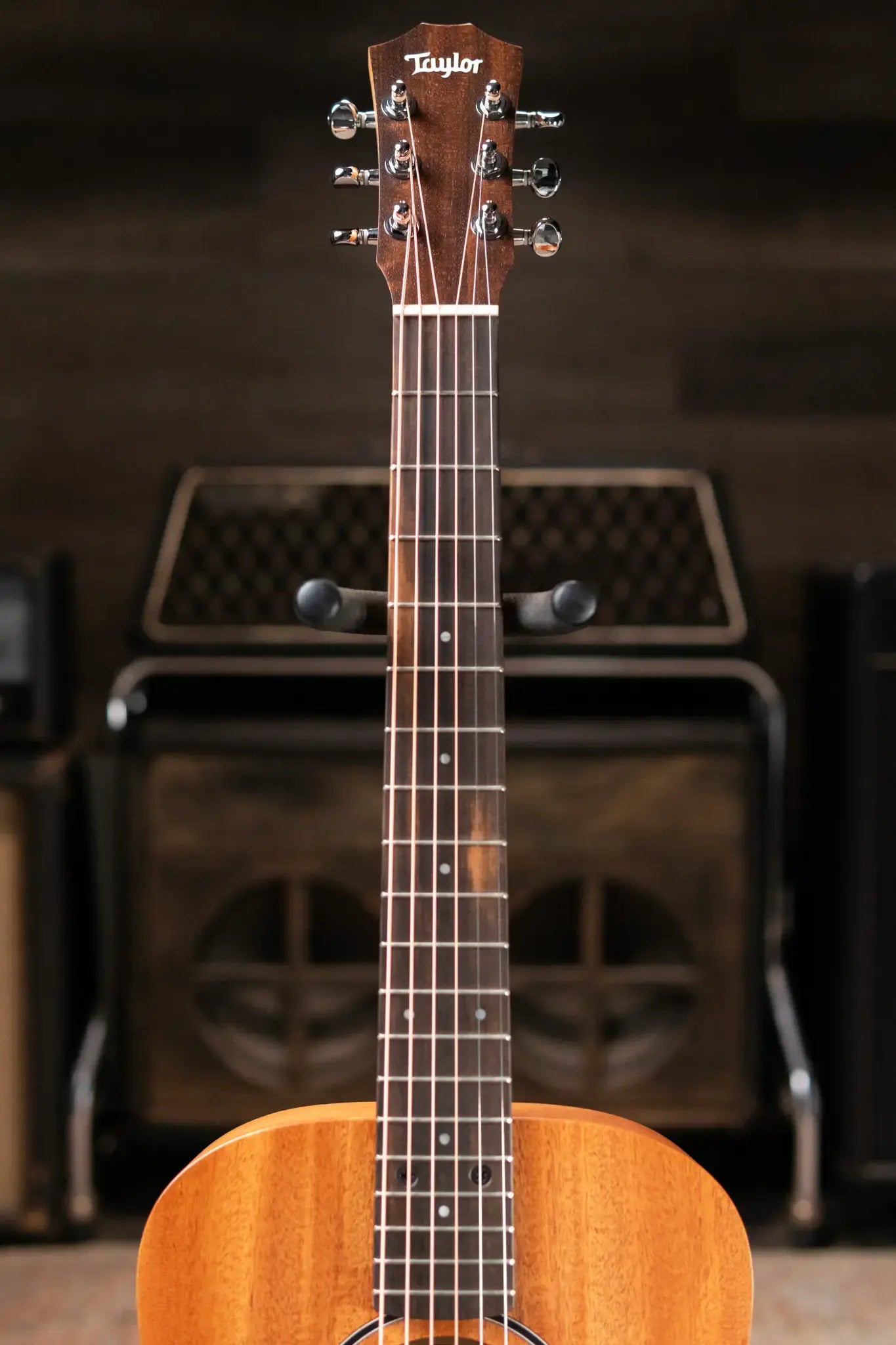 Taylor BT2 Mahogany Acoustic Guitar with Gig Bag