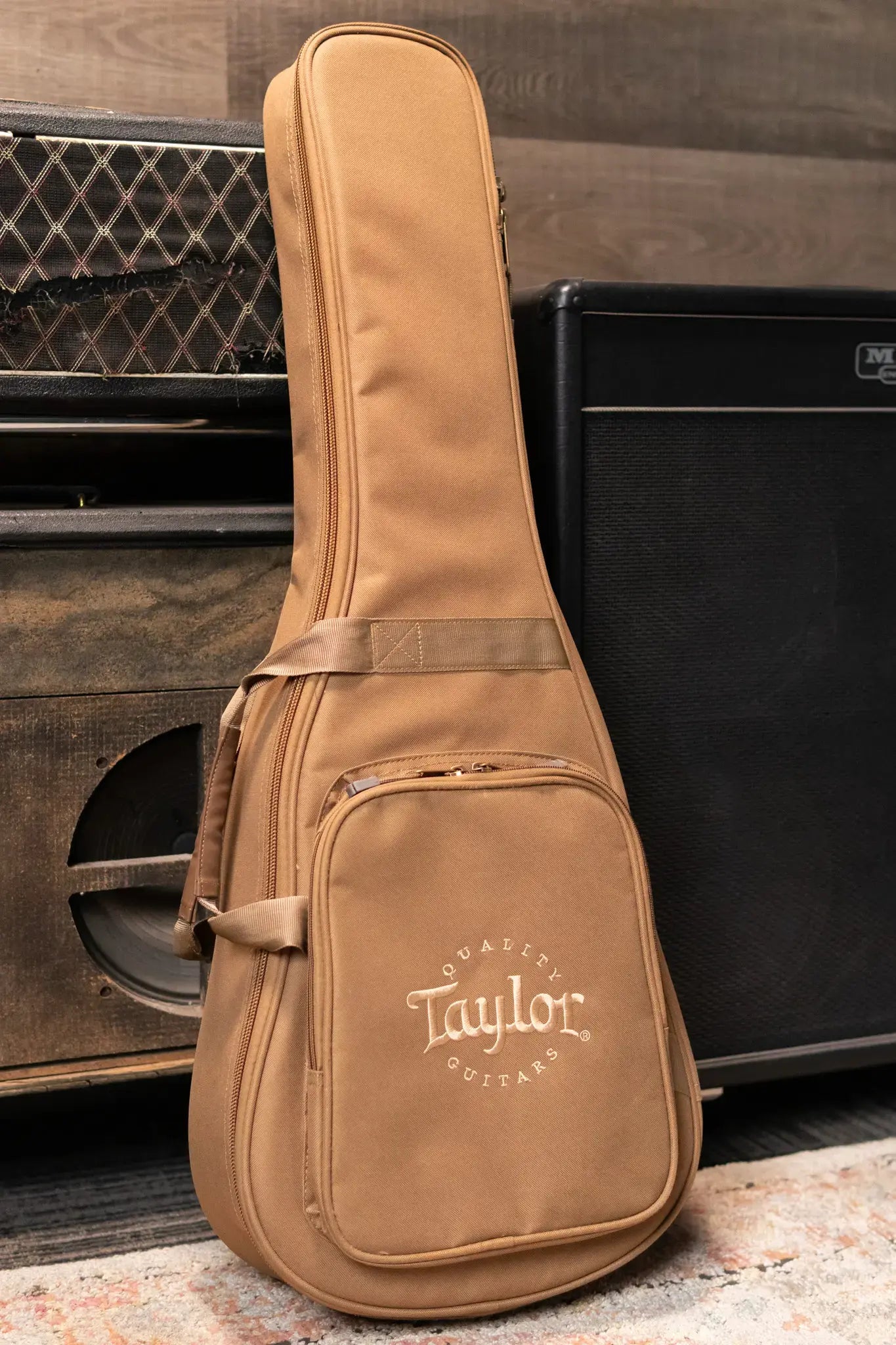 Taylor BT2 Mahogany Acoustic Guitar with Gig Bag