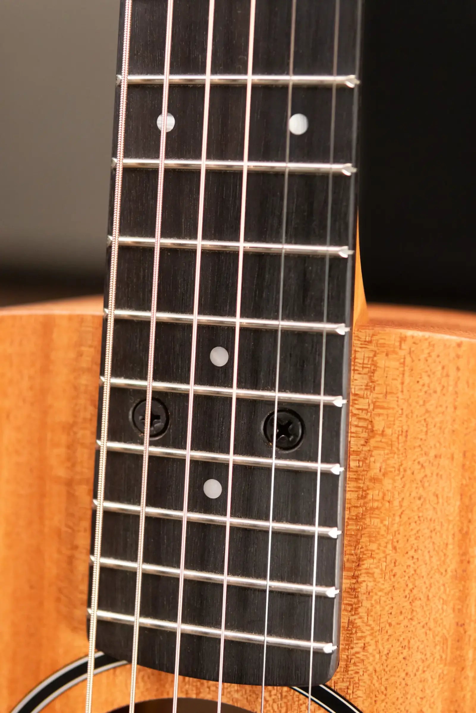 Taylor BT2 Mahogany Acoustic Guitar with Gig Bag