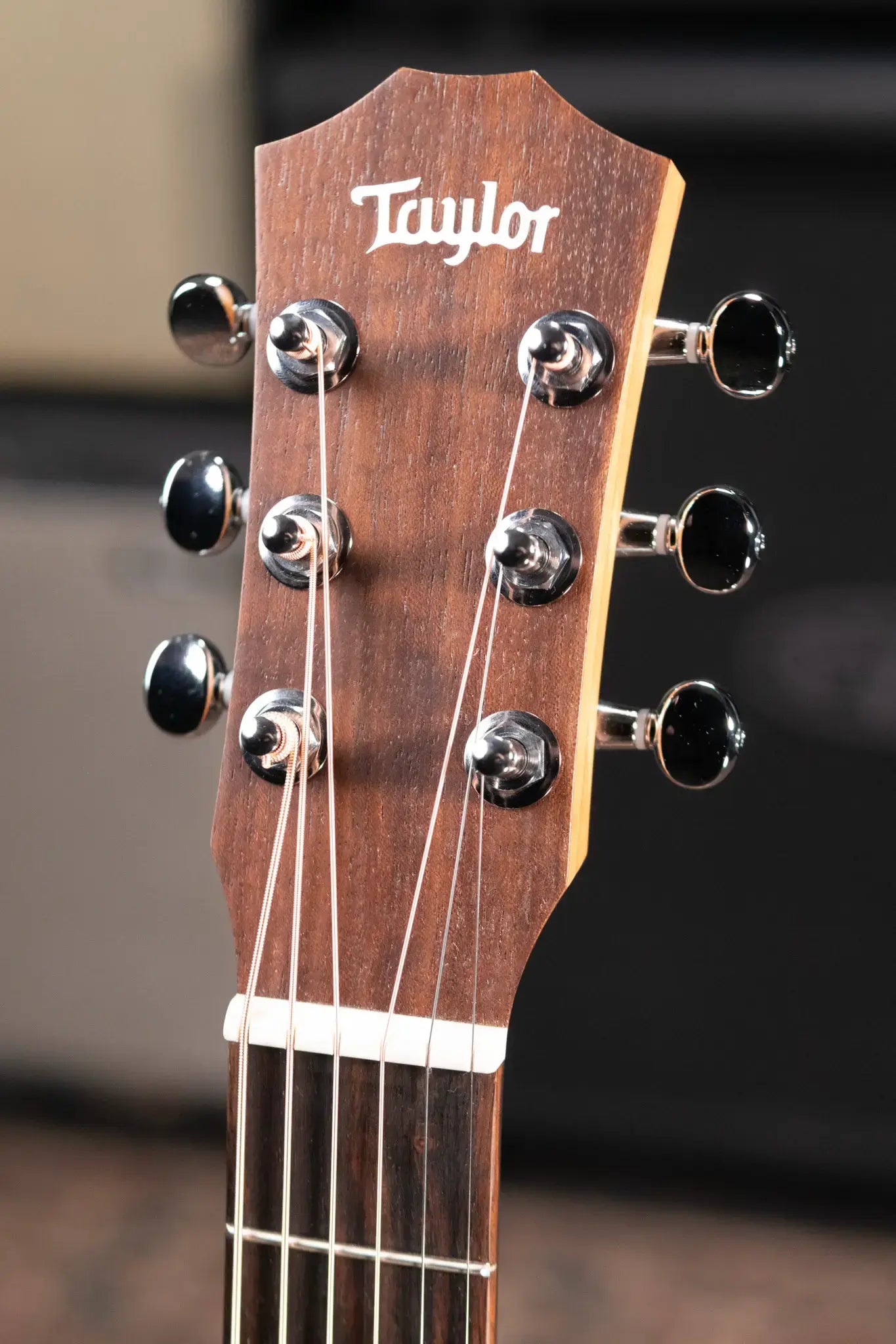 Taylor BT2 Mahogany Acoustic Guitar with Gig Bag