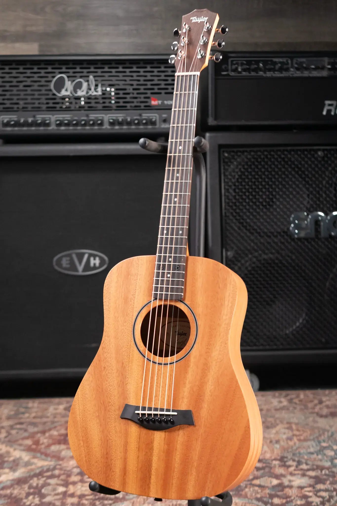 Taylor BT2 Mahogany Acoustic Guitar with Gig Bag