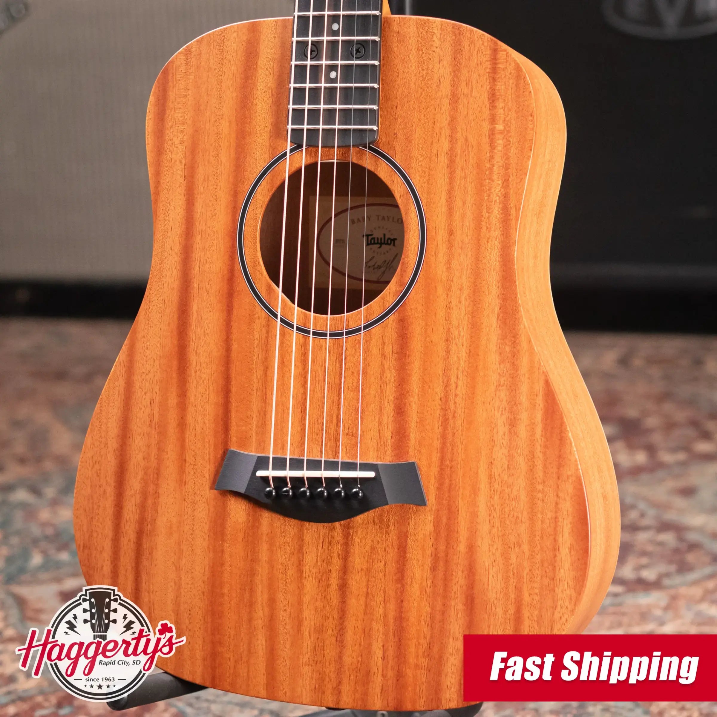 Taylor BT2 Mahogany Acoustic Guitar with Gig Bag