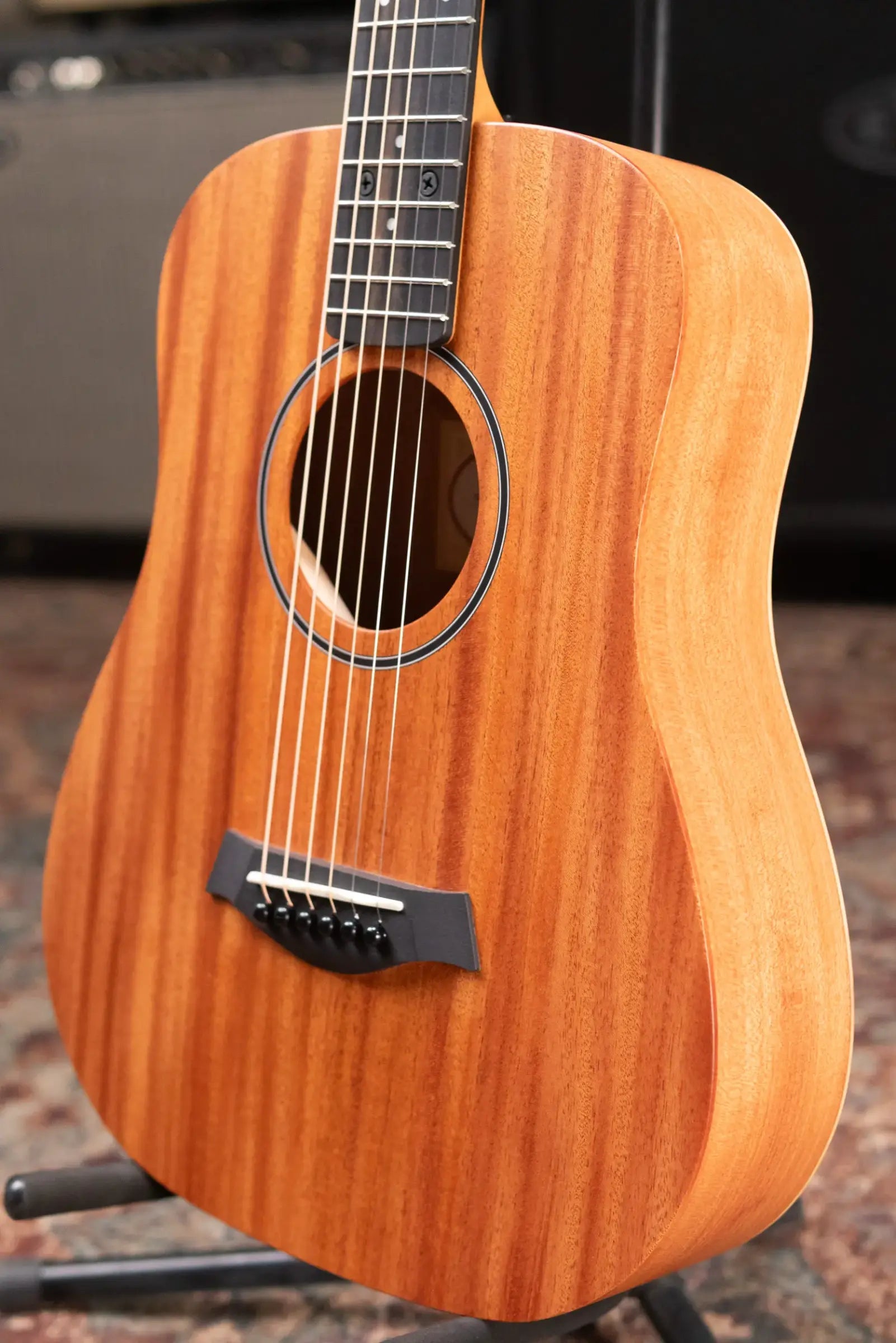 Taylor BT2 Mahogany Acoustic Guitar with Gig Bag