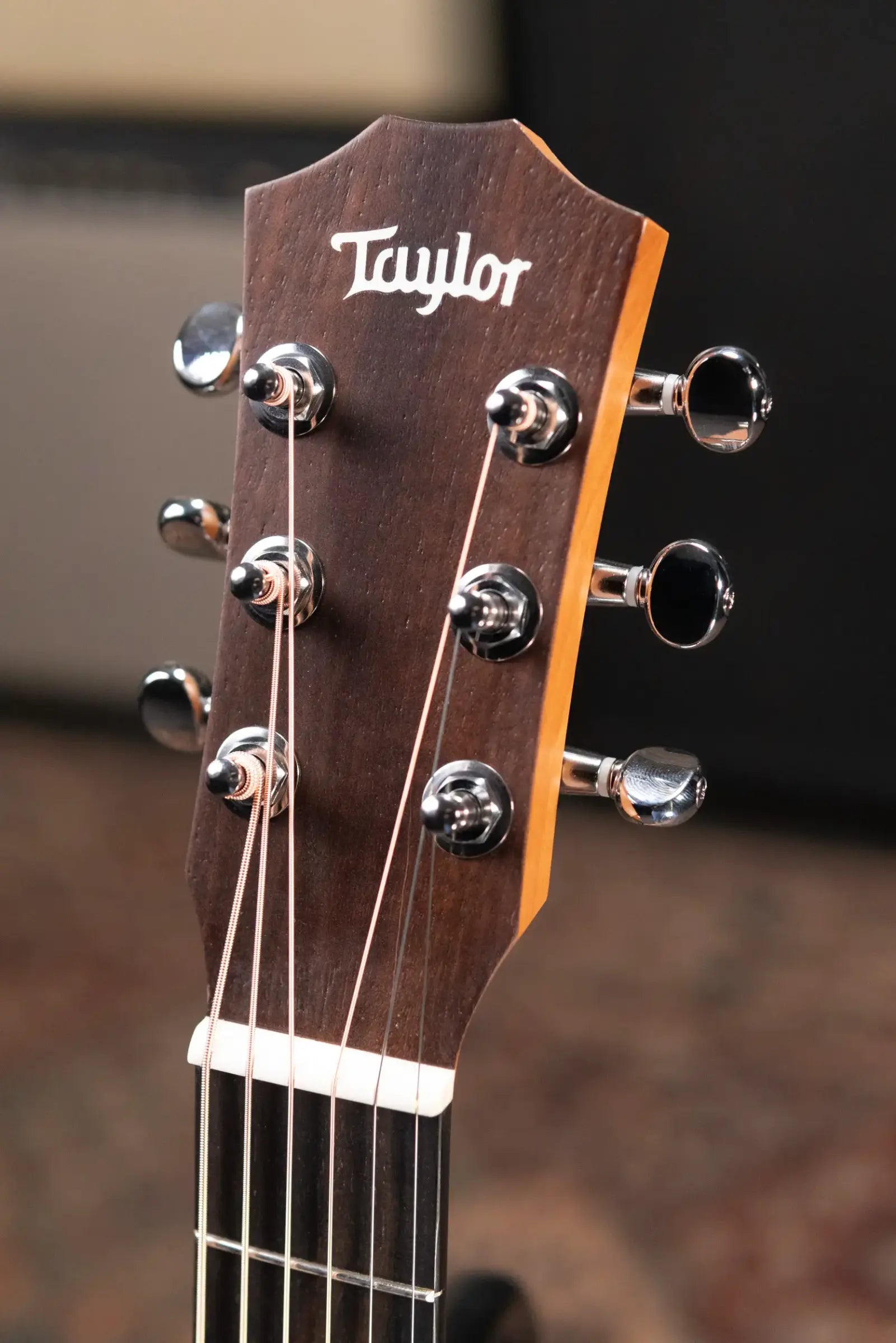 Taylor BT2 Mahogany Acoustic Guitar with Gig Bag