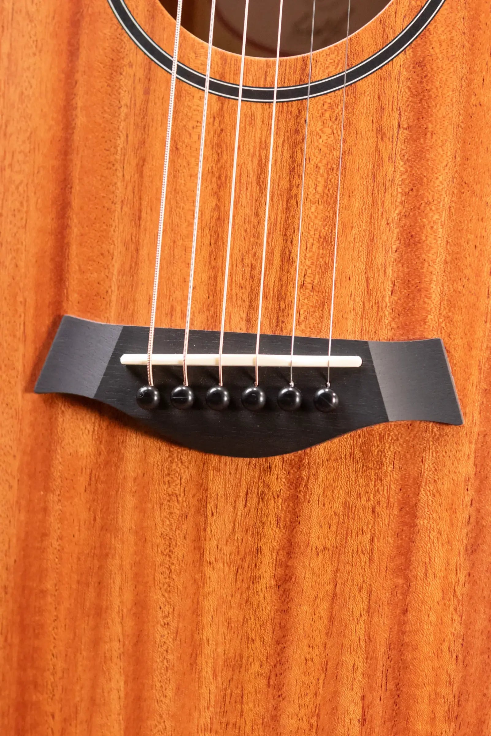 Taylor BT2 Mahogany Acoustic Guitar with Gig Bag