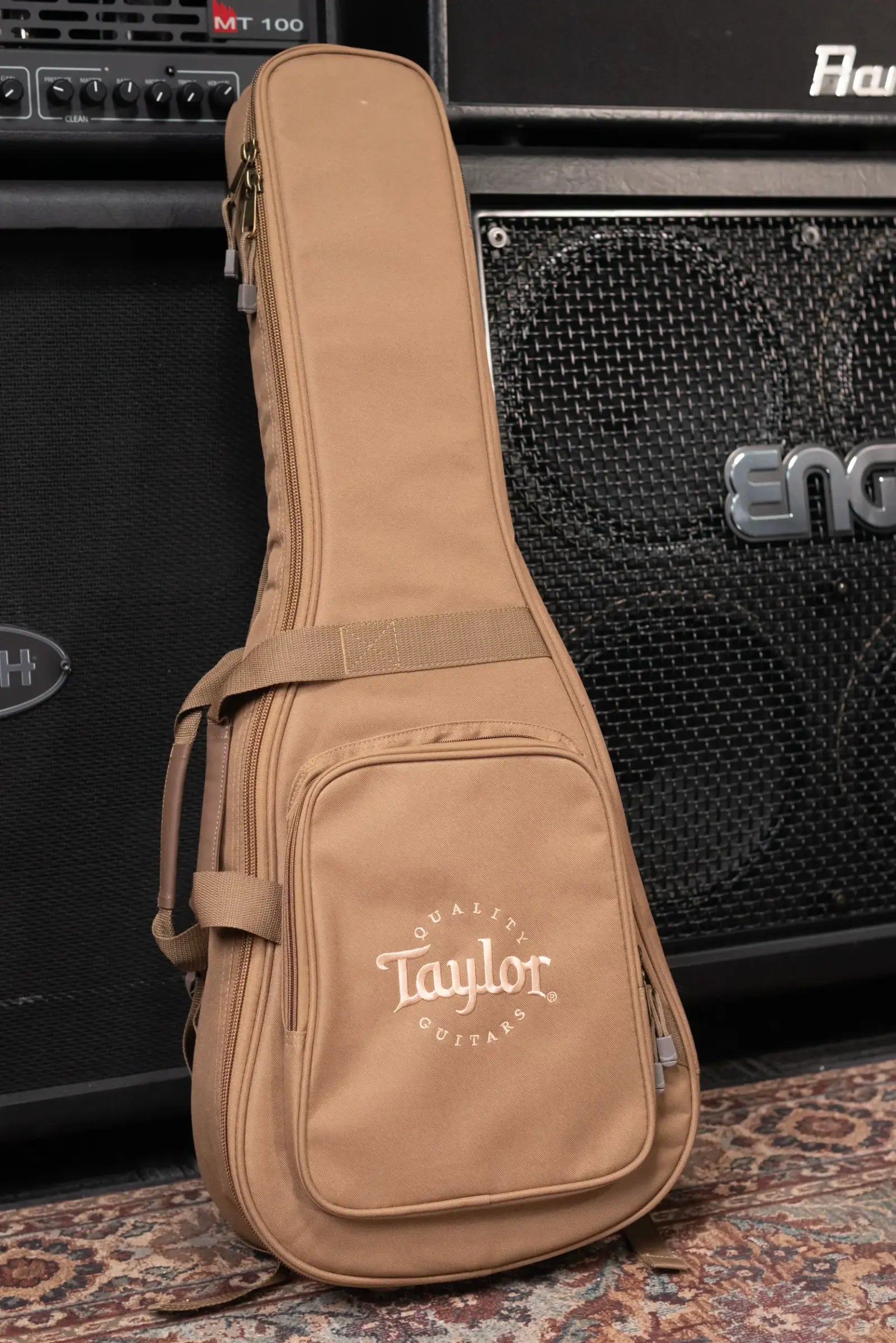 Taylor BT2 Mahogany Acoustic Guitar with Gig Bag