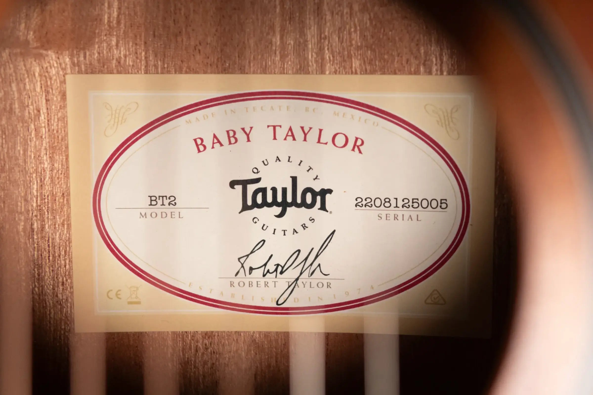 Taylor BT2 Mahogany Acoustic Guitar with Gig Bag