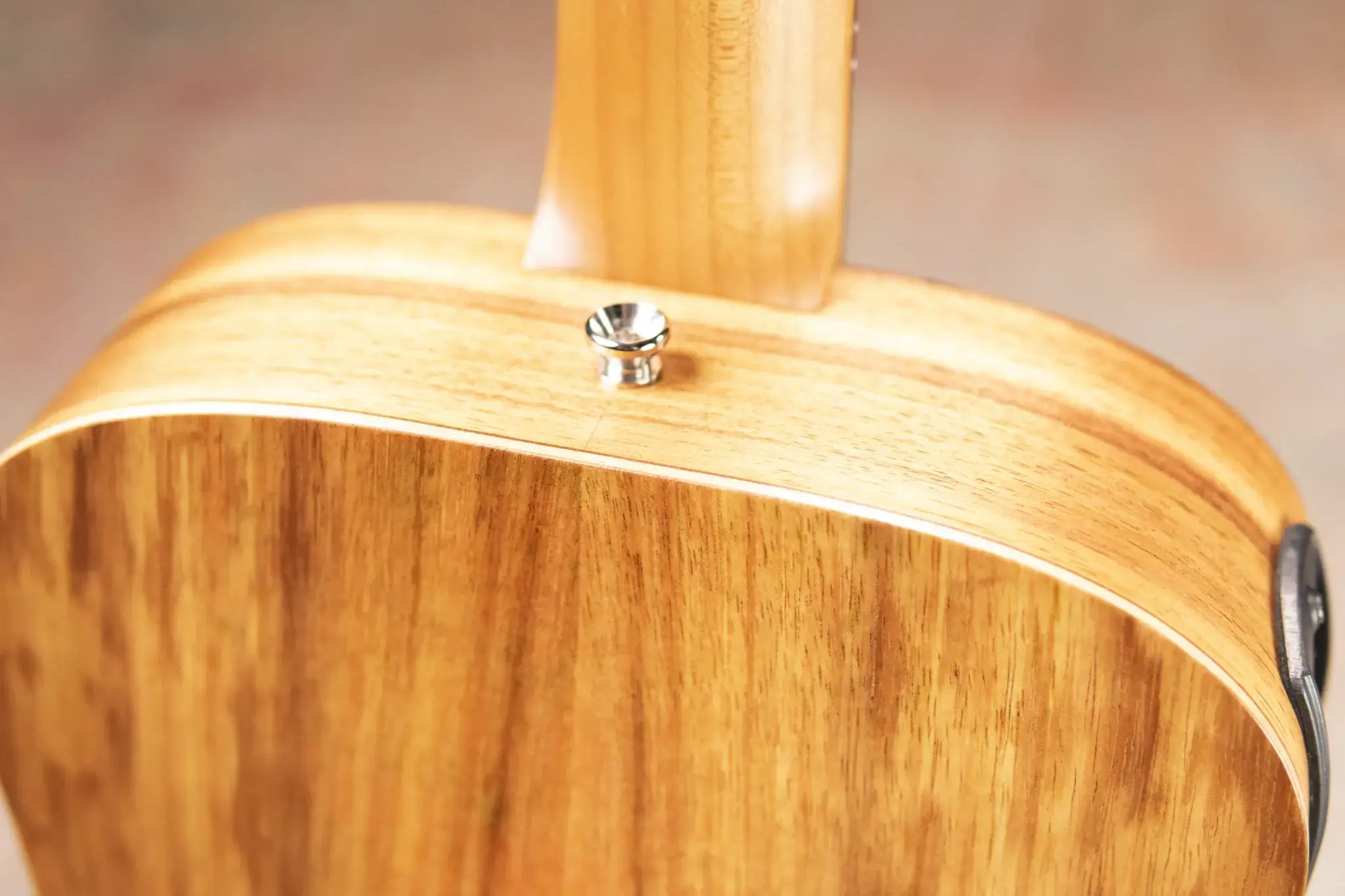 Taylor BTe-Koa Baby Taylor Acoustic-Electric Guitar with Gig Bag