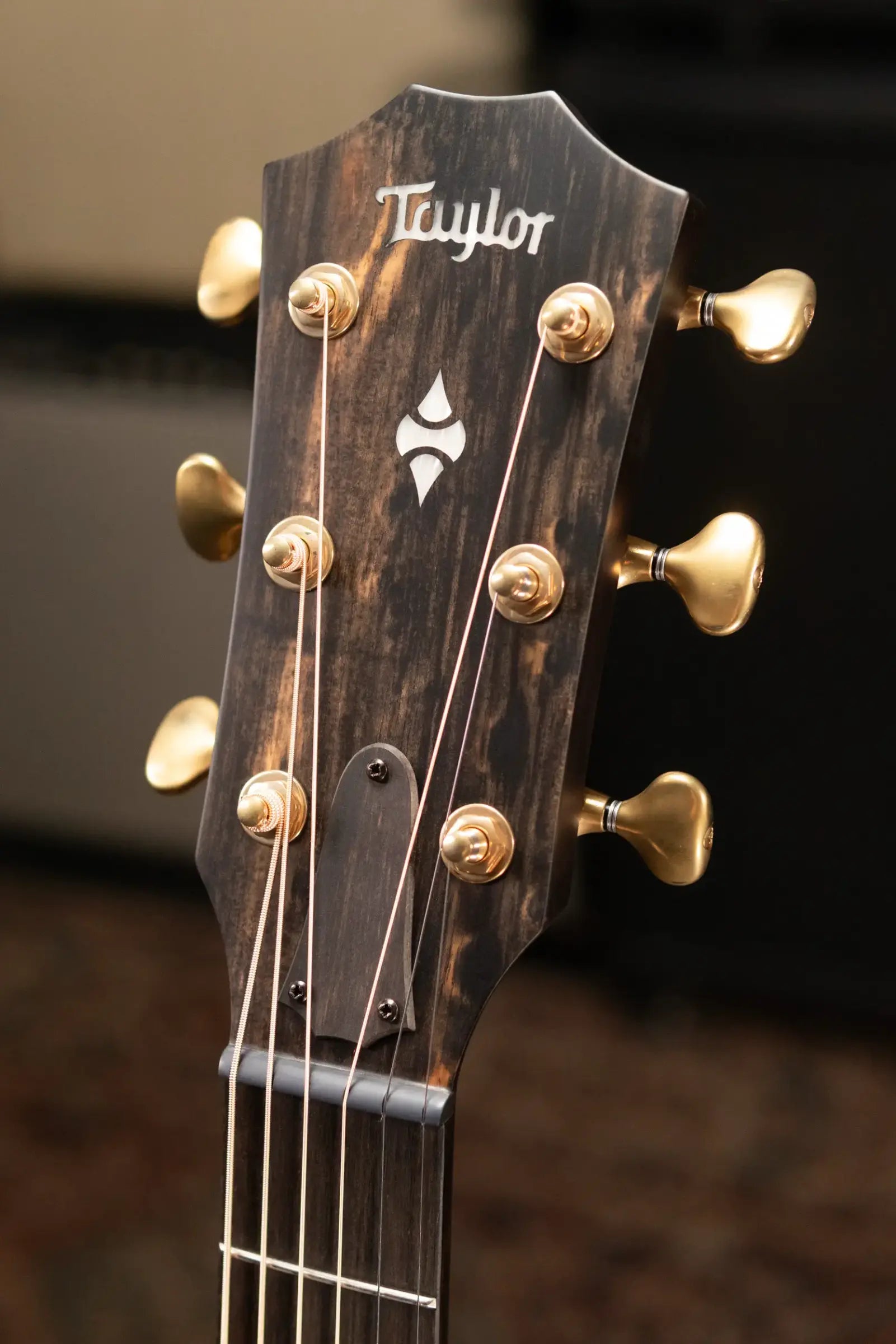 Taylor Builder's Edition 314ce LTD 50th Anniversary Grand Auditorium Acoustic/Electric Guitar - Kona Burst Top with Hardshell Case - Factory Demo