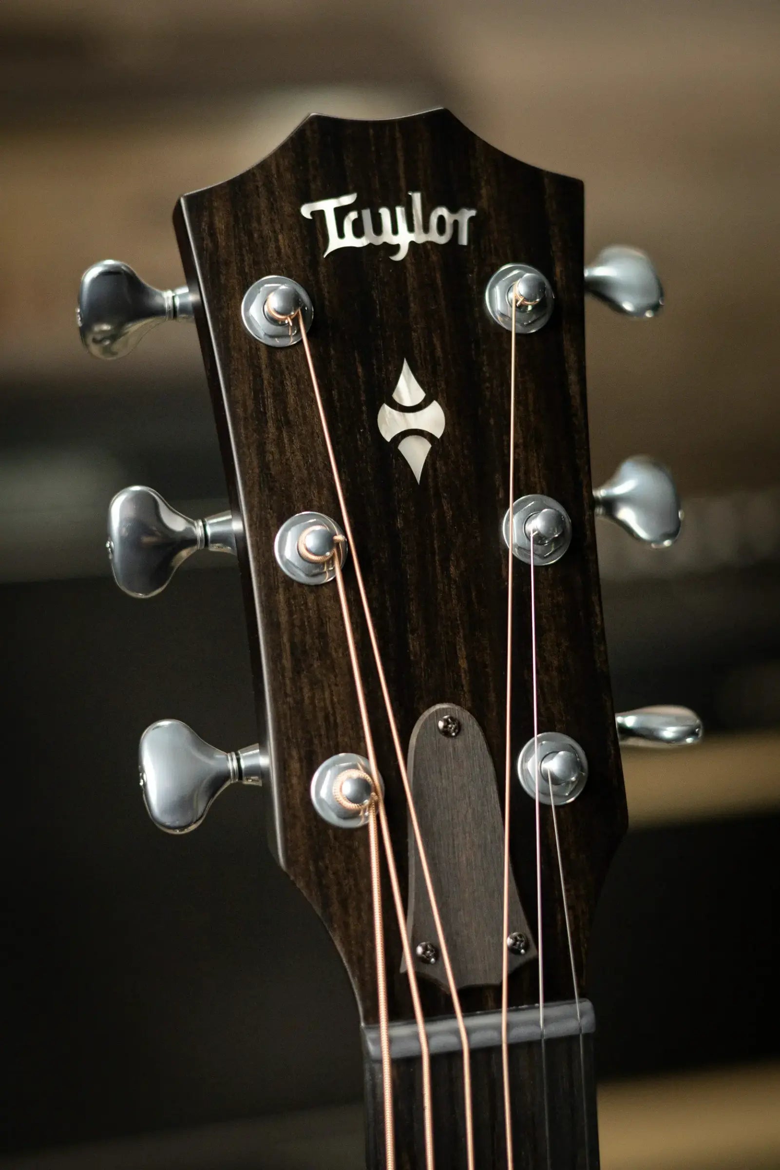 Taylor Builder's Edition 514ce Acoustic-Electric Guitar - Kona Burst with Hardshell Case