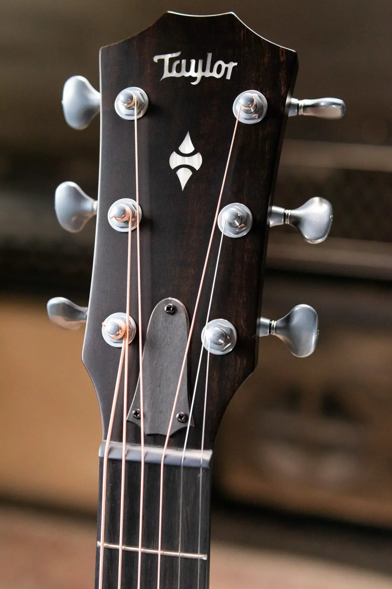 Taylor Builder's Edition 514ce Acoustic/Electric Guitar with Hardshell Case