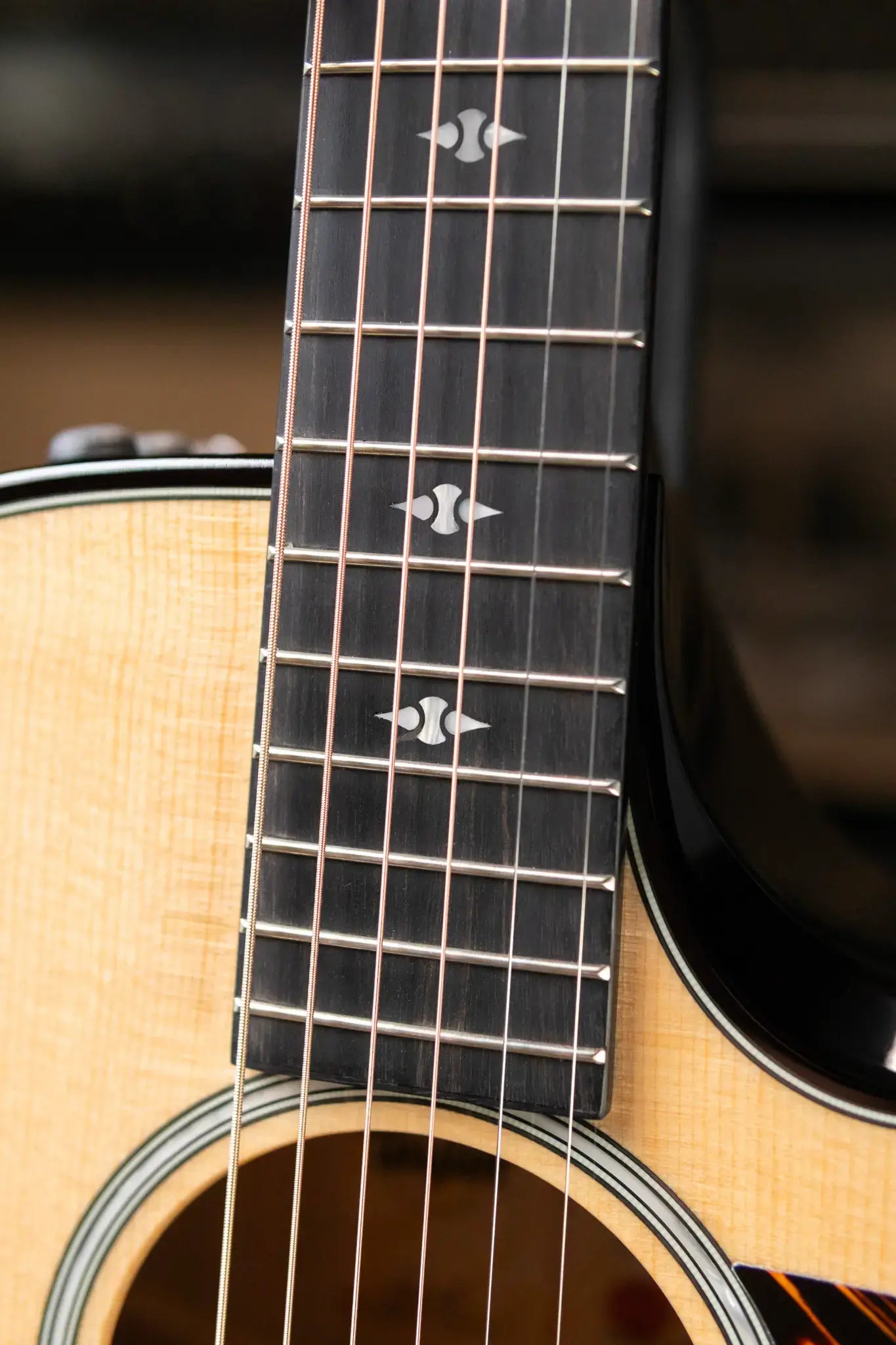 Taylor Builder's Edition 514ce Acoustic/Electric Guitar with Hardshell Case
