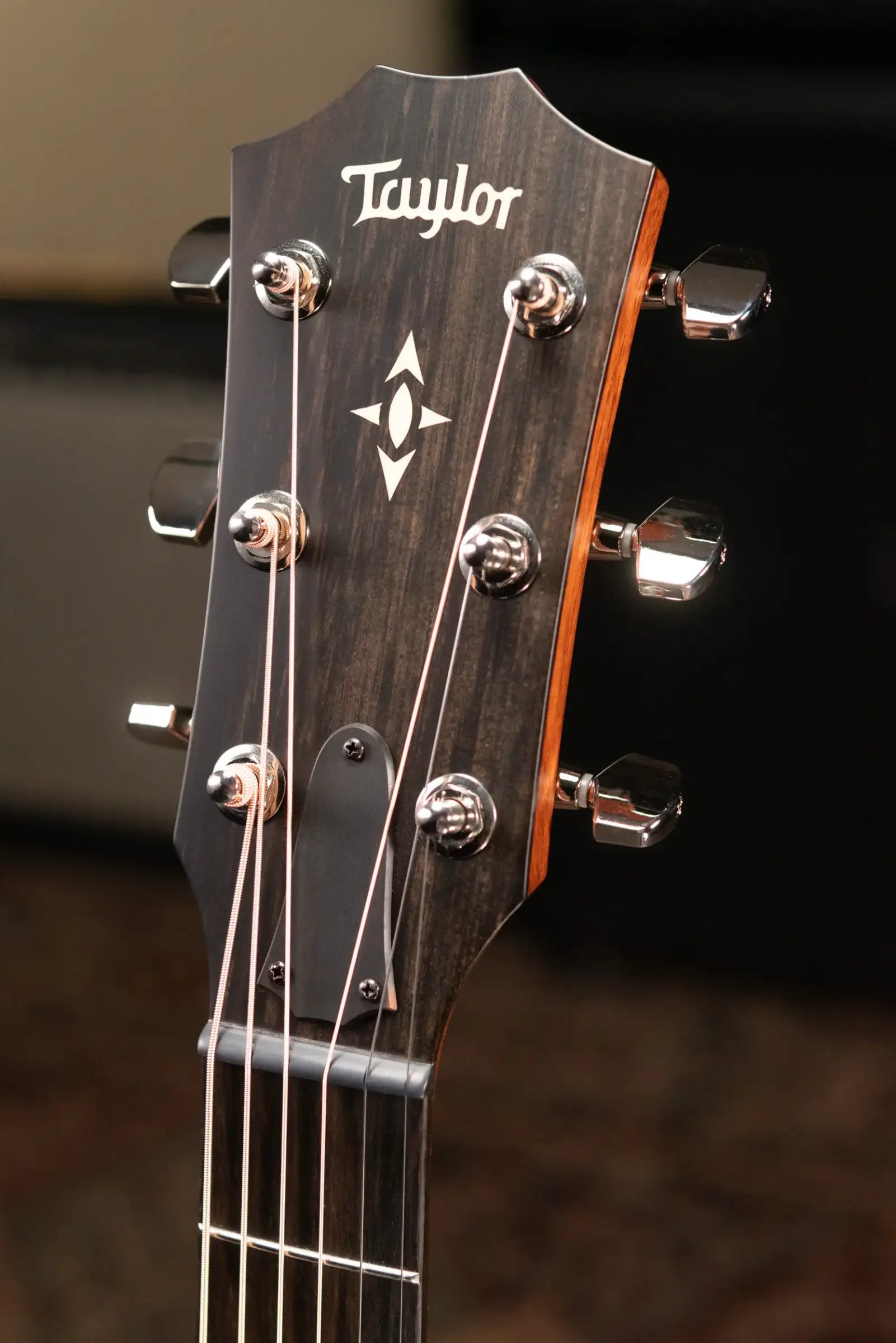 Taylor Builder's Edition 517e Grand Pacific Acoustic/Electric Guitar - Wild Honey Burst with Hardshell Case - Floor Model Demo