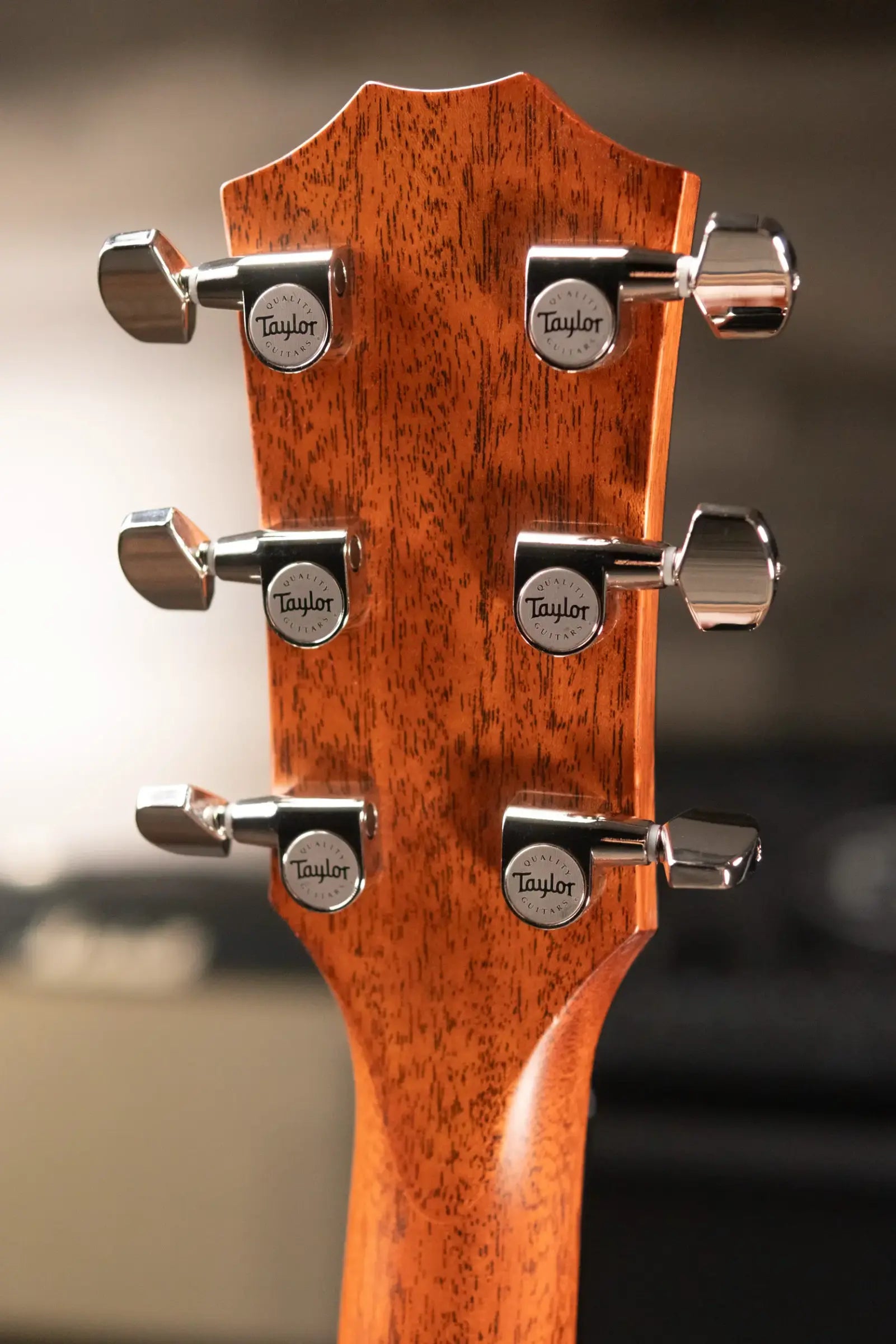 Taylor Builder's Edition 517e Grand Pacific Acoustic/Electric Guitar - Wild Honey Burst with Hardshell Case - Floor Model Demo