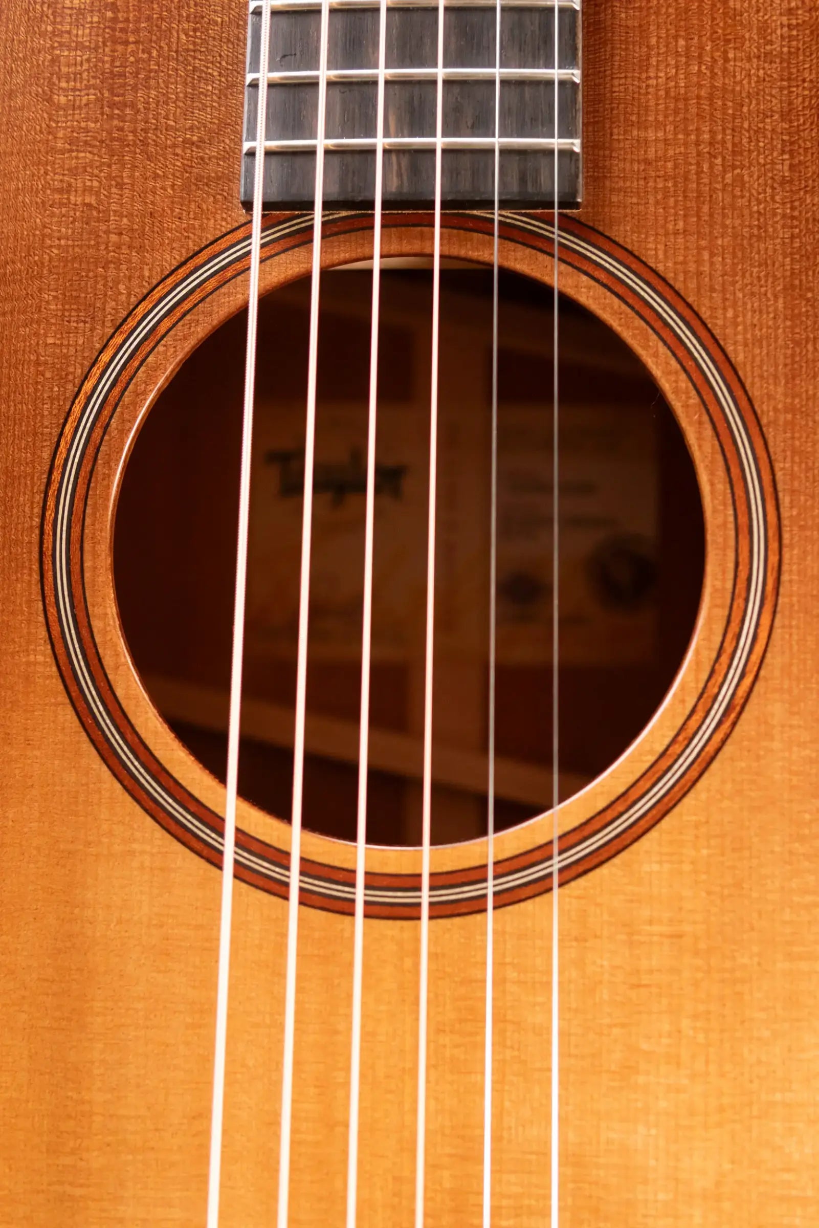 Taylor Builder's Edition 517e Grand Pacific Acoustic/Electric Guitar - Wild Honey Burst with Hardshell Case - Floor Model Demo