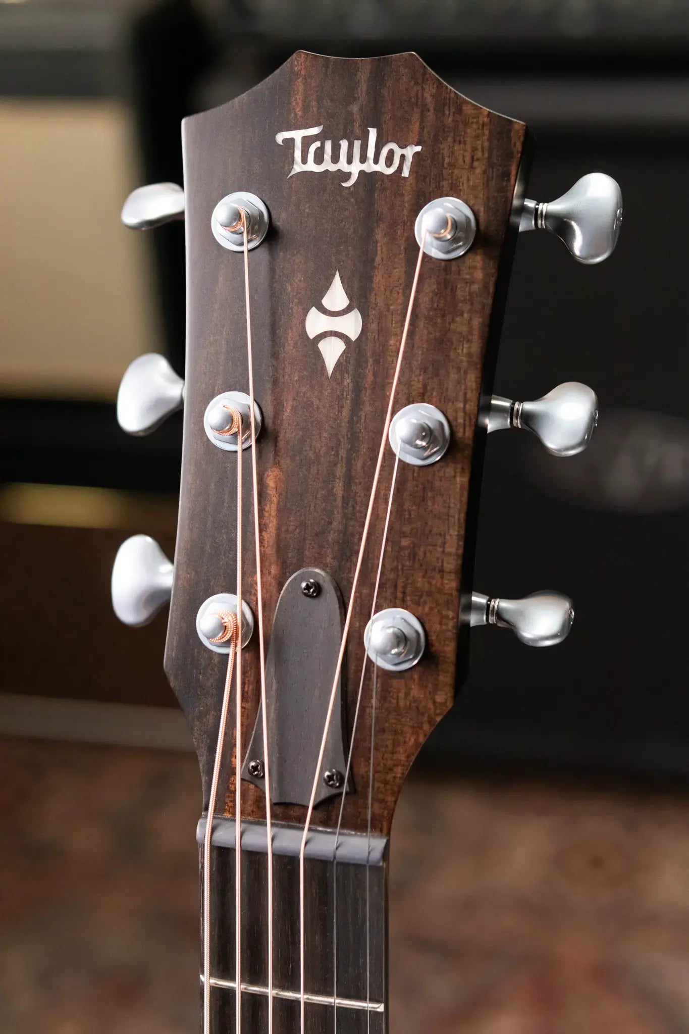 Taylor Builder's Edition 524ce Grand Auditorium Acoustic/Electric Guitar with Hardshell Case - Demo