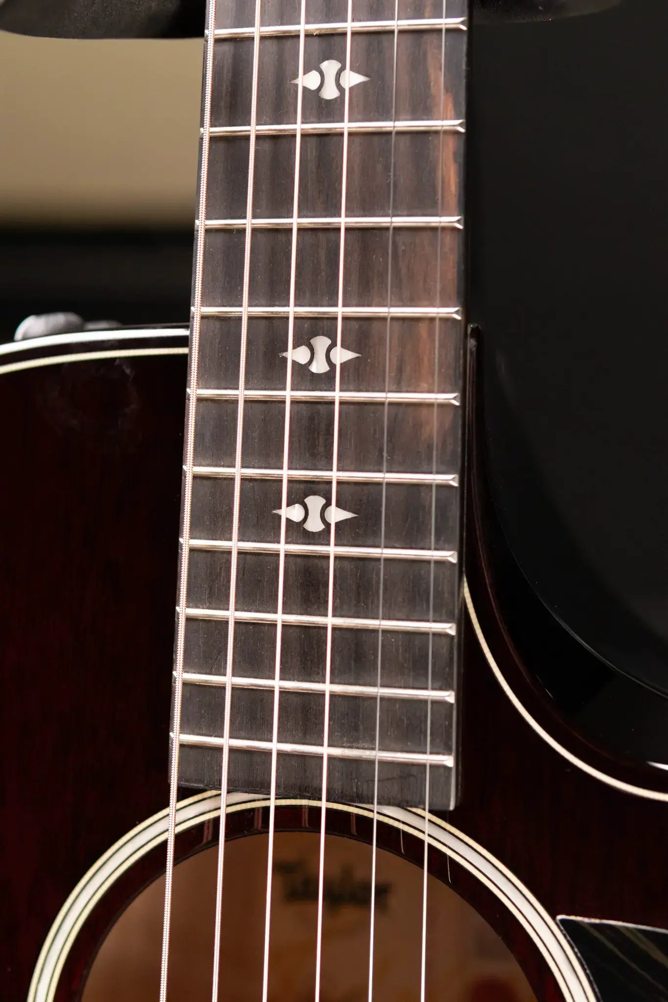 Taylor Builder's Edition 524ce Grand Auditorium Acoustic/Electric Guitar with Hardshell Case - Demo