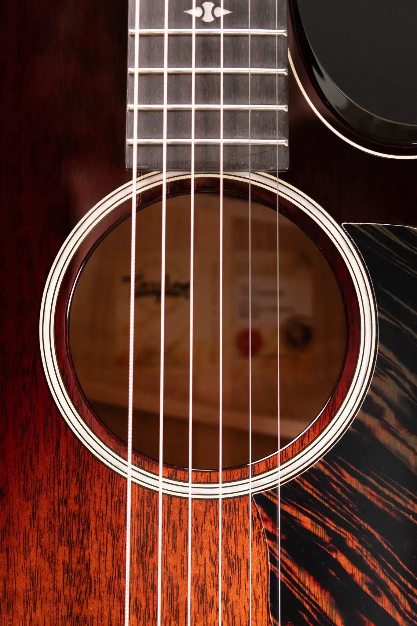 Taylor Builder's Edition 524ce Grand Auditorium Acoustic/Electric Guitar with Hardshell Case - Demo