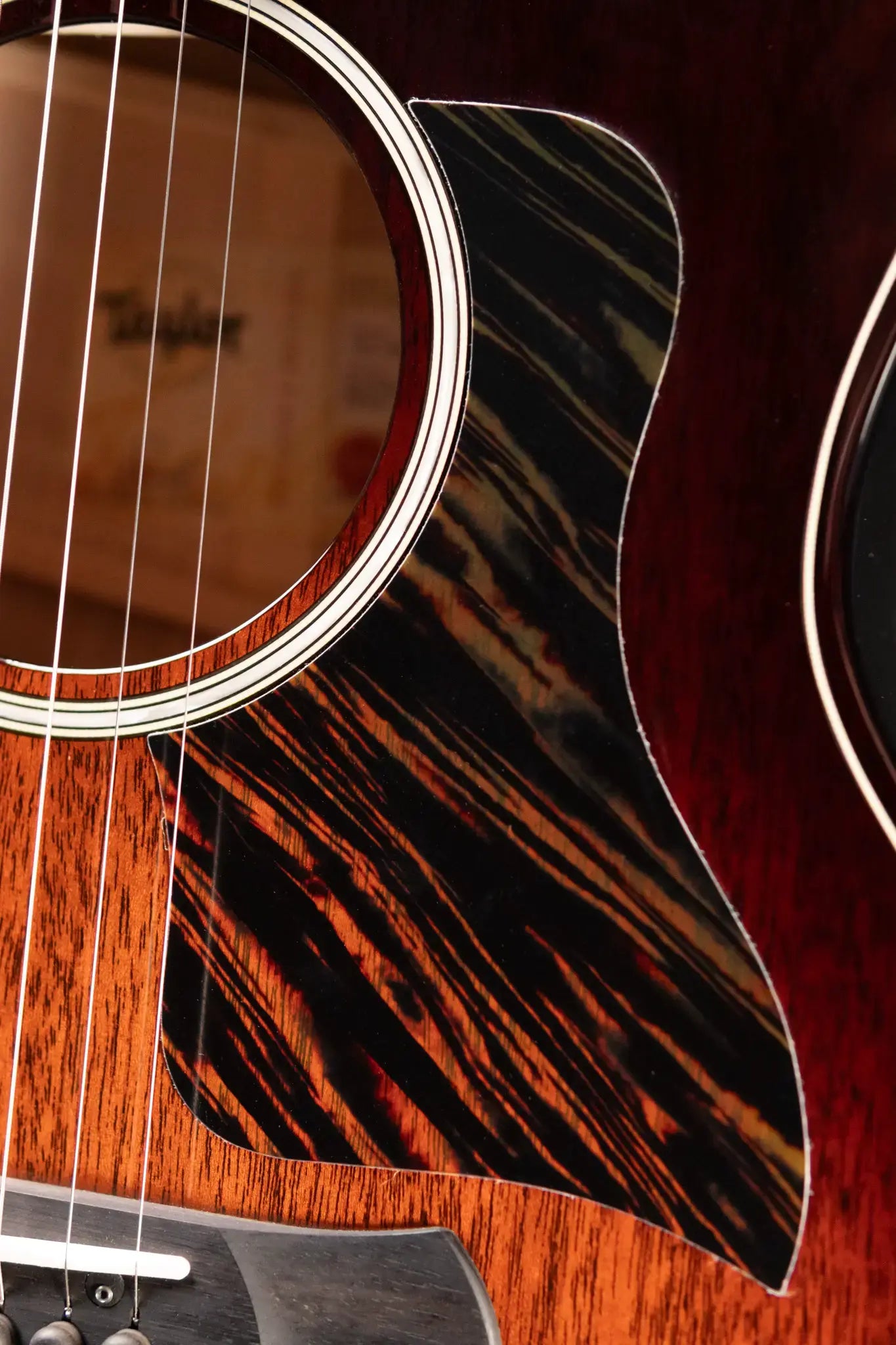 Taylor Builder's Edition 524ce Grand Auditorium Acoustic/Electric Guitar with Hardshell Case - Demo