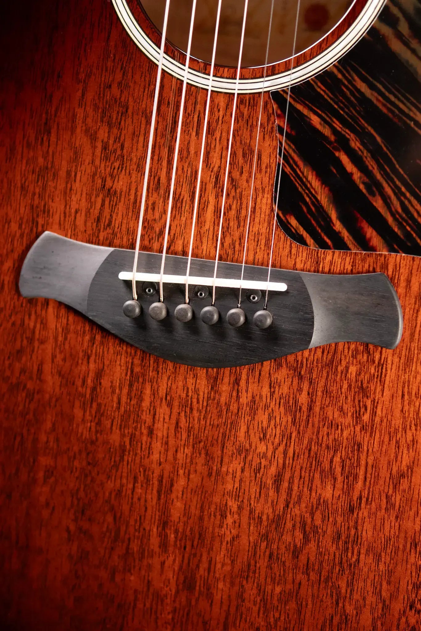 Taylor Builder's Edition 524ce Grand Auditorium Acoustic/Electric Guitar with Hardshell Case - Demo