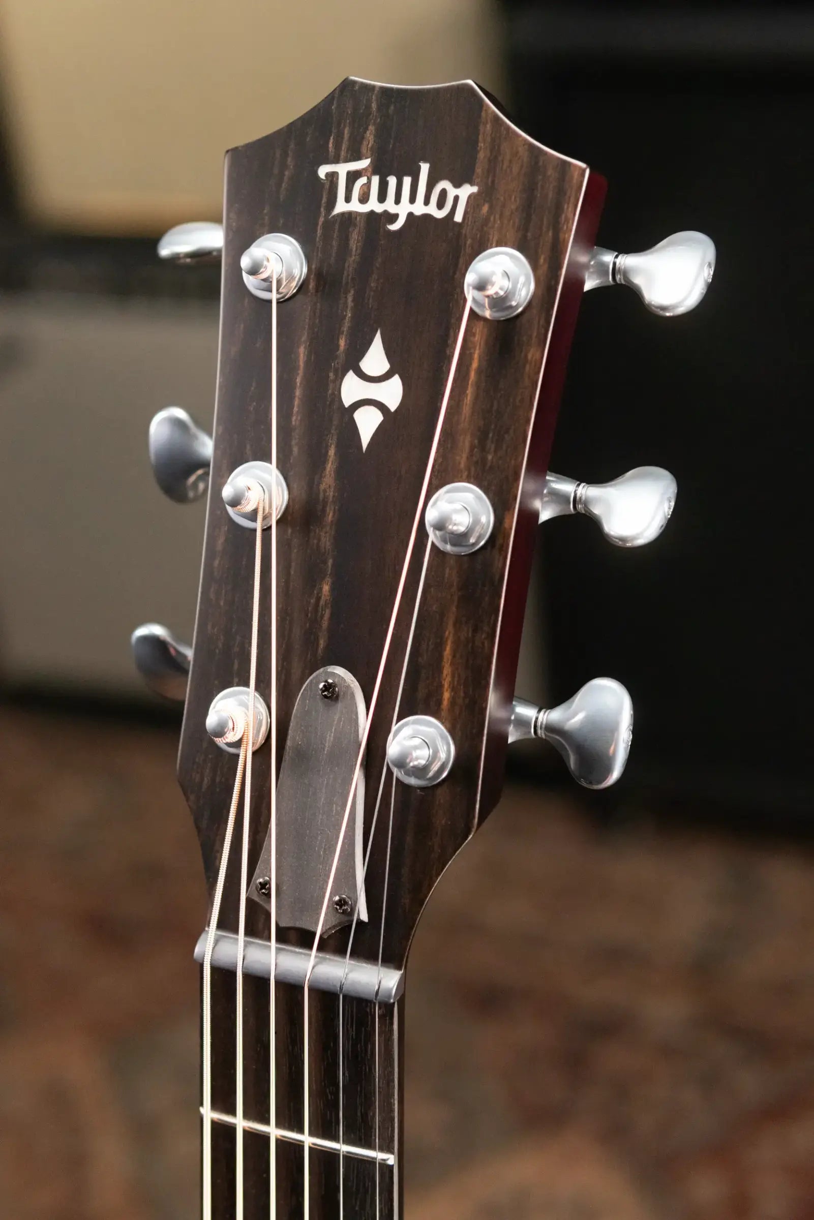 Taylor Builder's Edition 524ce Grand Auditorium Acoustic/Electric Guitar with Hardshell Case