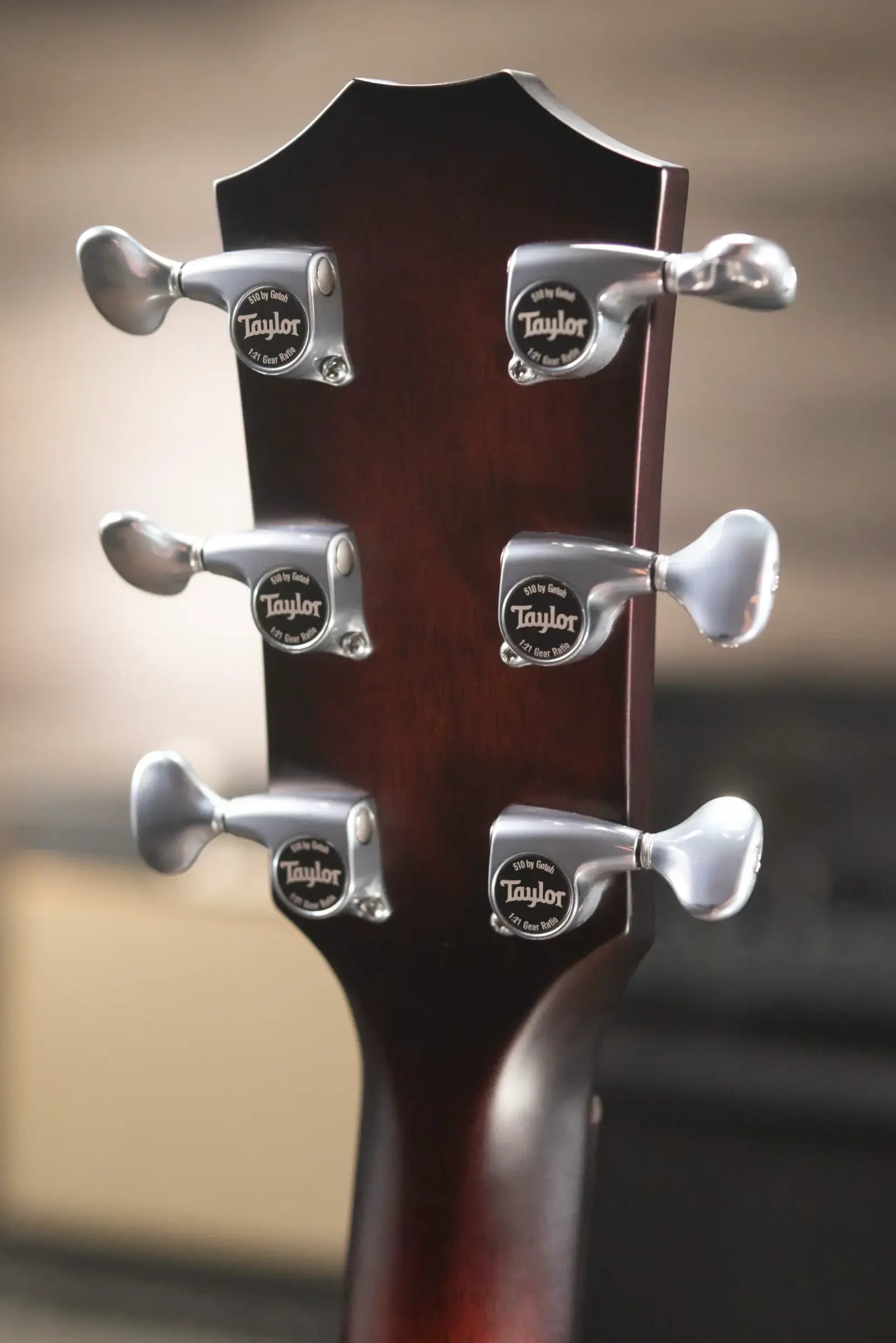 Taylor Builder's Edition 524ce Grand Auditorium Acoustic/Electric Guitar with Hardshell Case