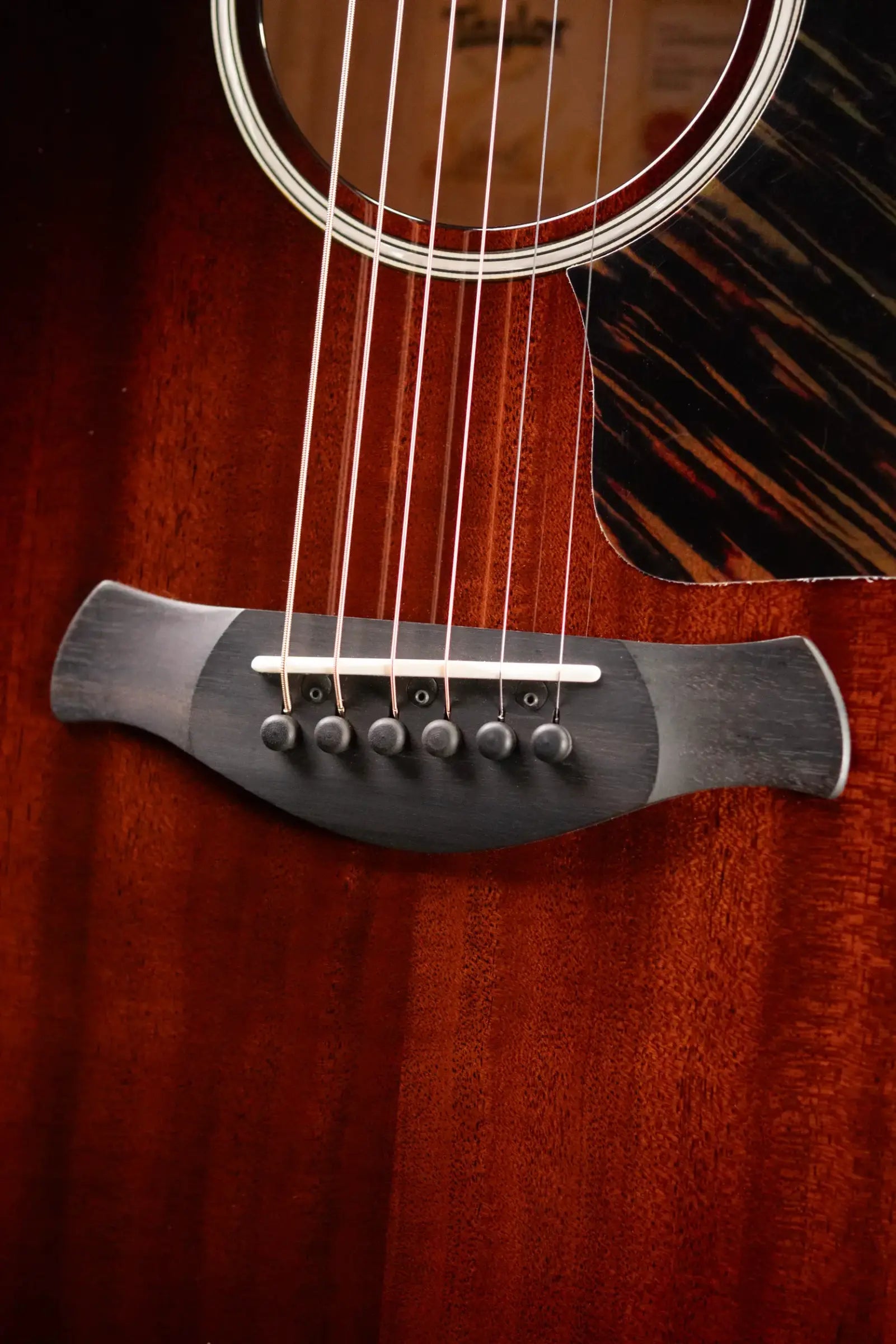 Taylor Builder's Edition 524ce Grand Auditorium Acoustic/Electric Guitar with Hardshell Case