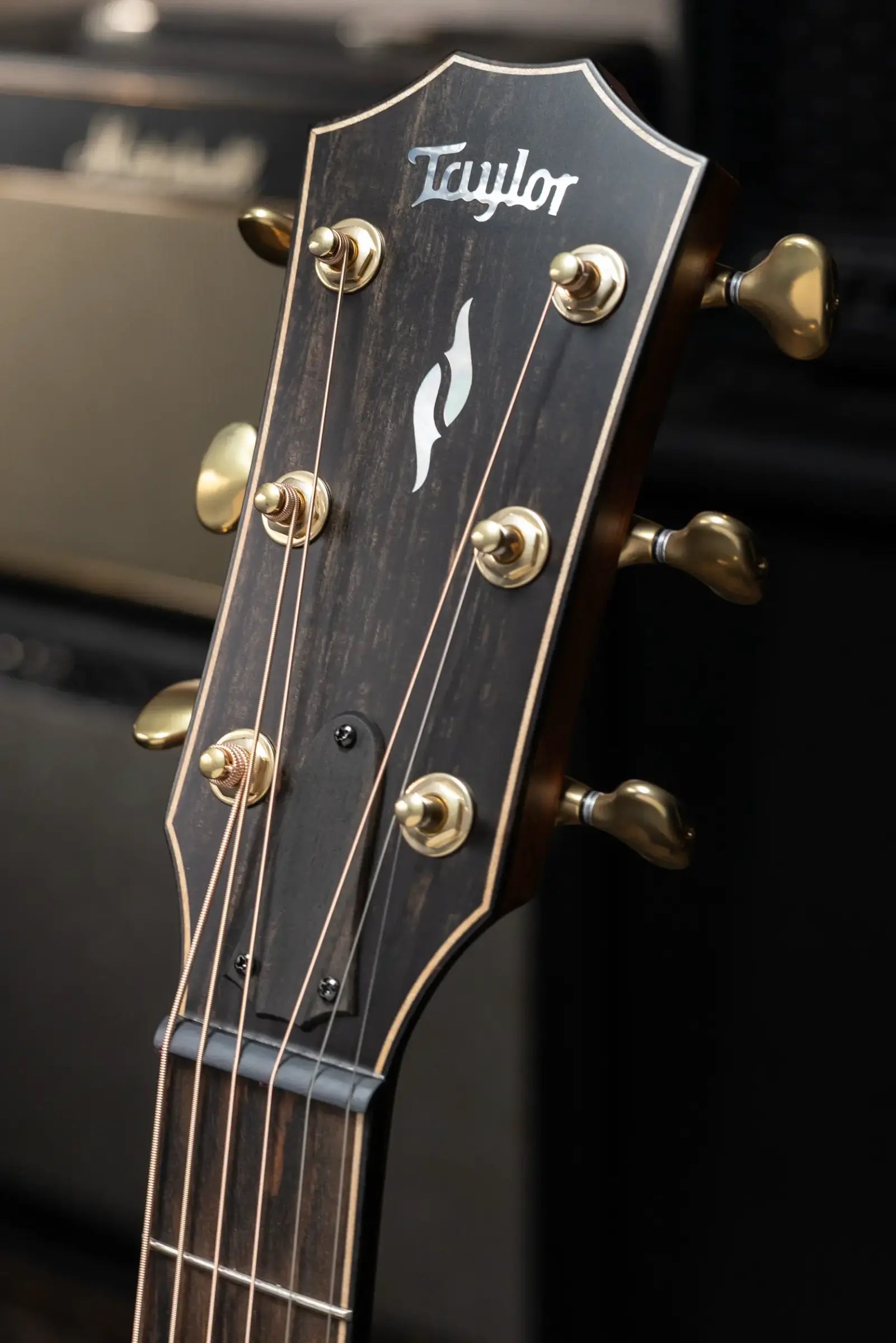 Taylor Builder's Edition 814ce LTD Grand Auditorium Acoustic/Electric Guitar - Macassar with Hardshell Case