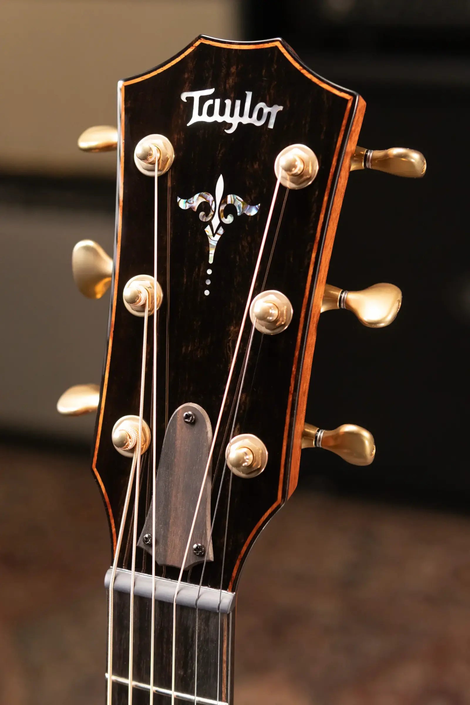 Taylor Builder's Edition 912ce Grand Concert Acoustic/Electric Guitar - Sinker Redwood/Honduran Rosewood with Hardshell Case