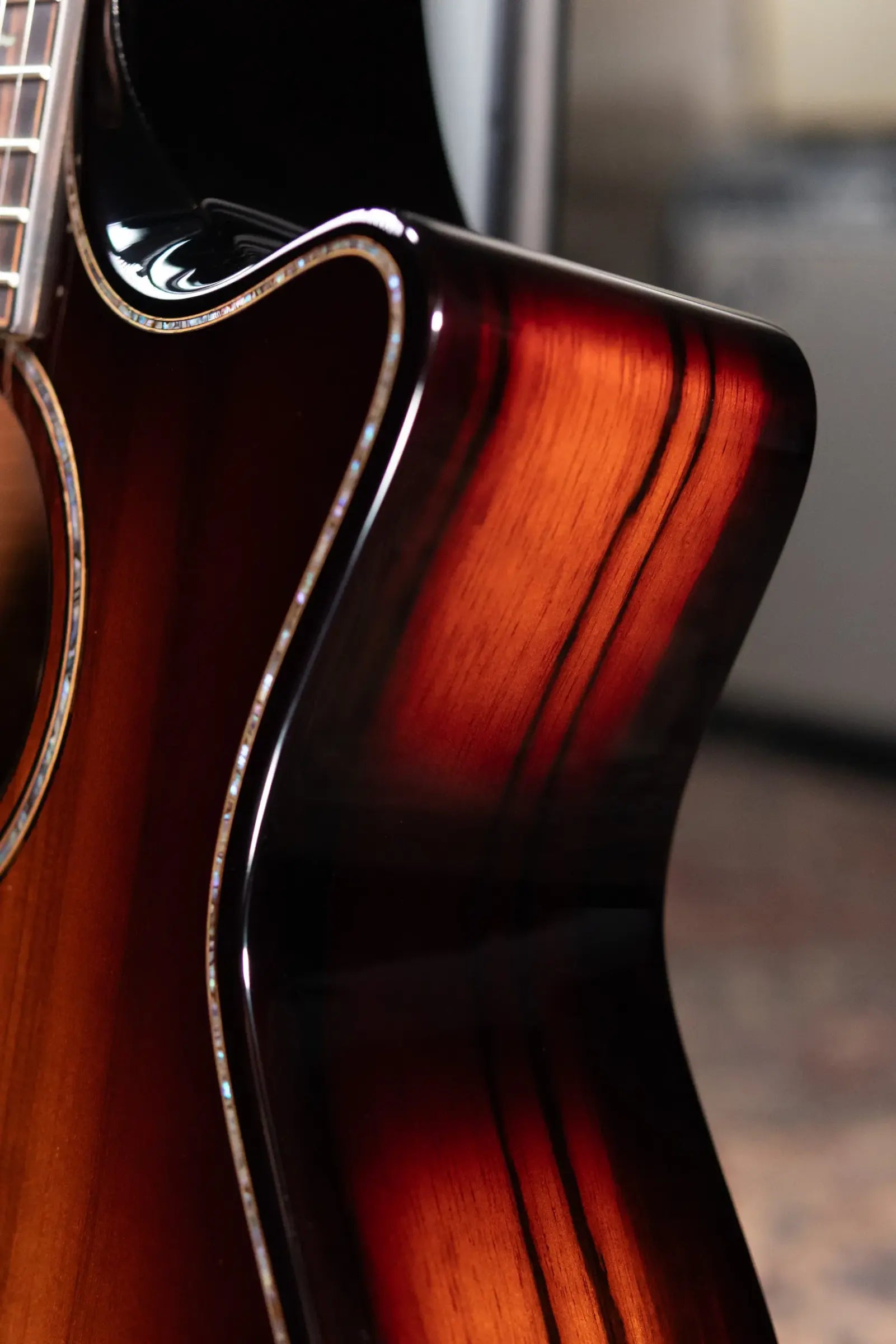 Taylor Builder's Edition 914ce LTD Macassar Ebony Grand Auditorium Acoustic/Electric Guitar with Hardshell Case