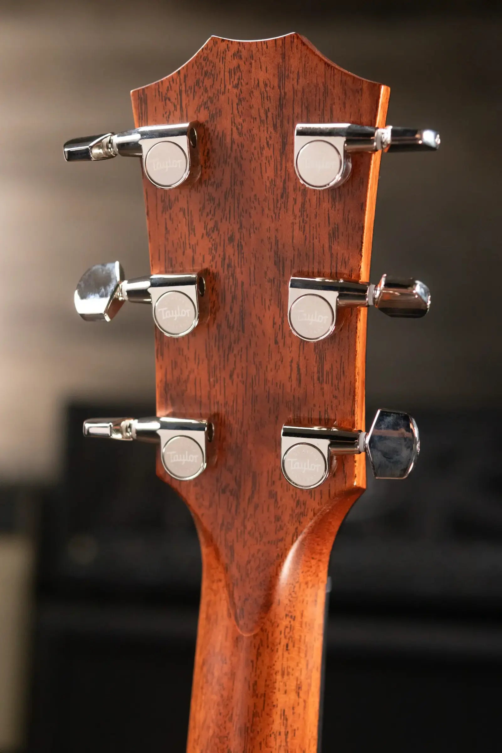 Taylor Custom 318e Mahogany/Torrefied Sitka Grand Orchestra Acoustic/Electric Guitar - Wild Honey Burst Top with Hardshell Case - Factory Demo