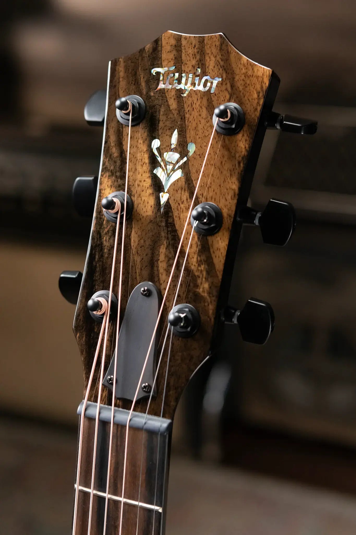 Taylor Custom Shop Grand Auditorium Acoustic/Electric - Maple/Sinker Cypress with Hardshell Case