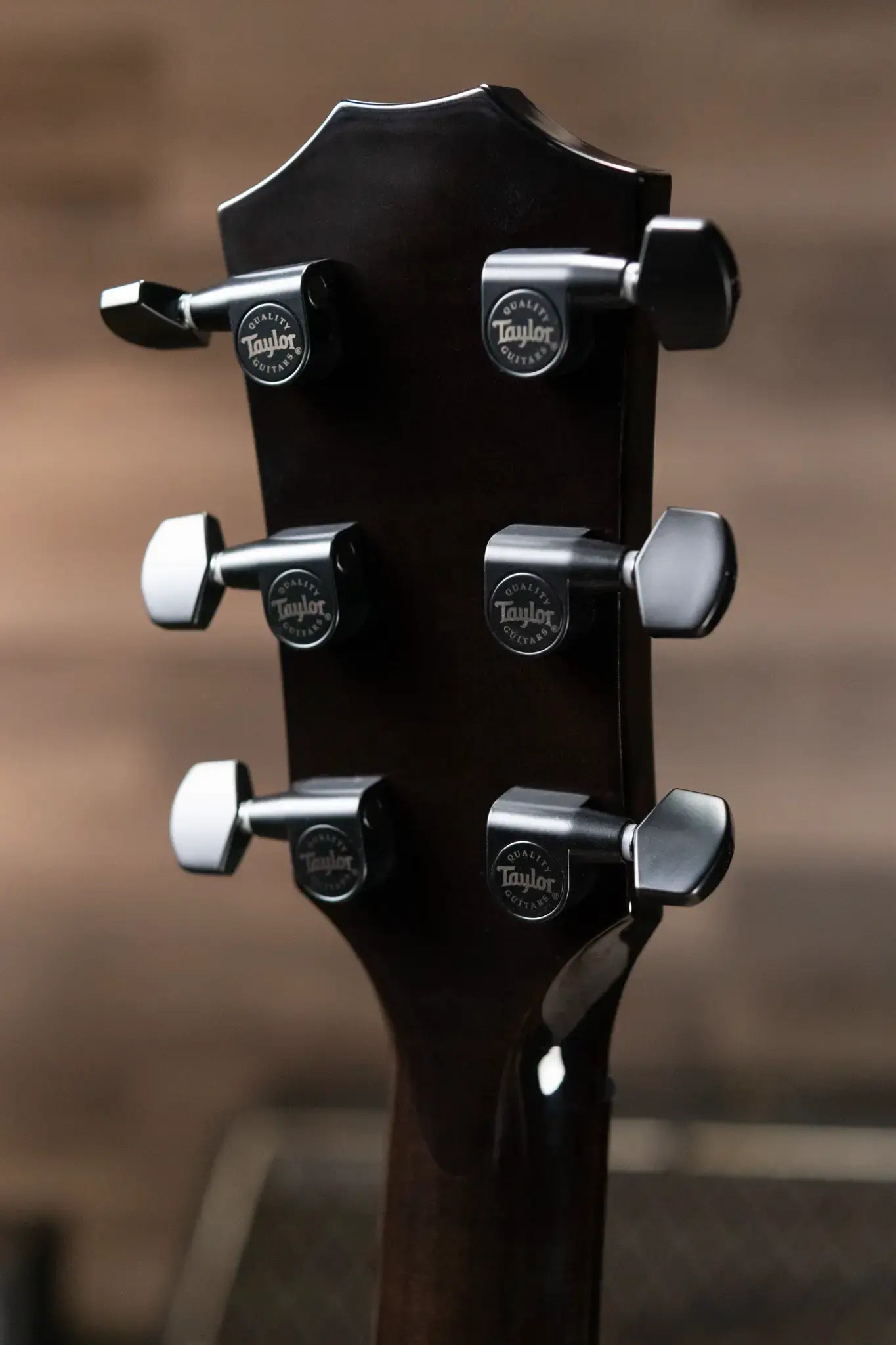 Taylor Custom Shop Grand Auditorium Acoustic/Electric - Maple/Sinker Cypress with Hardshell Case