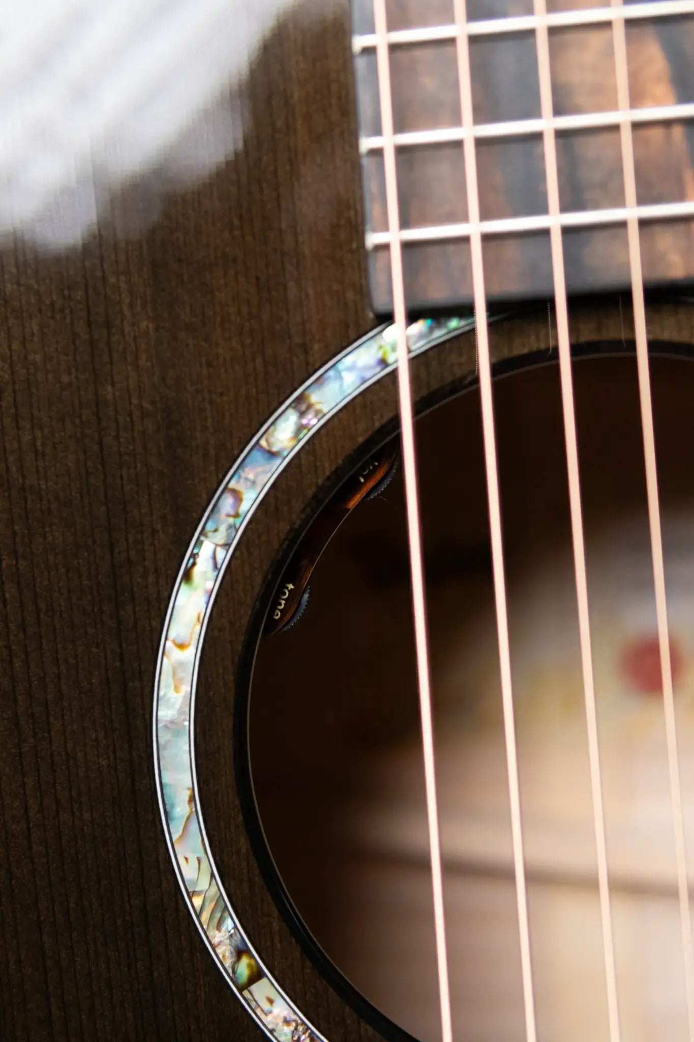 Taylor Custom Shop Grand Auditorium Acoustic/Electric - Maple/Sinker Cypress with Hardshell Case