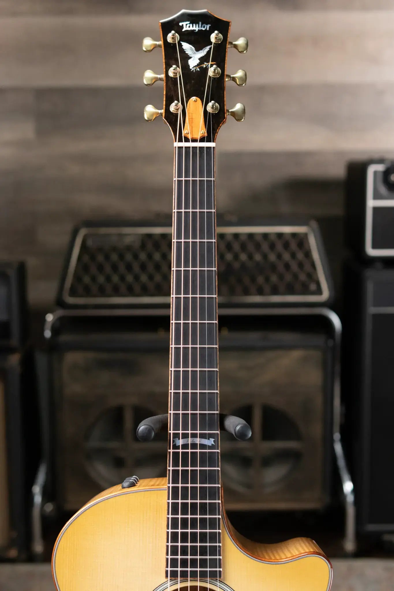 Taylor “Olive Branch” Custom Grand Auditorium Acoustic/Electric with Hardshell Case