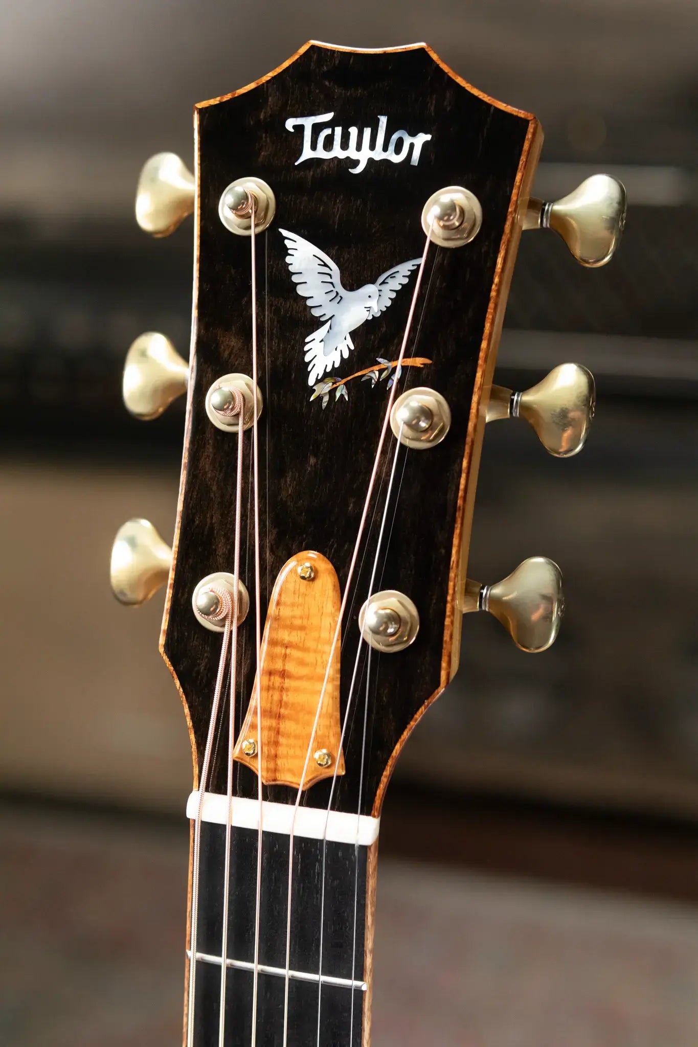 Taylor “Olive Branch” Custom Grand Auditorium Acoustic/Electric with Hardshell Case