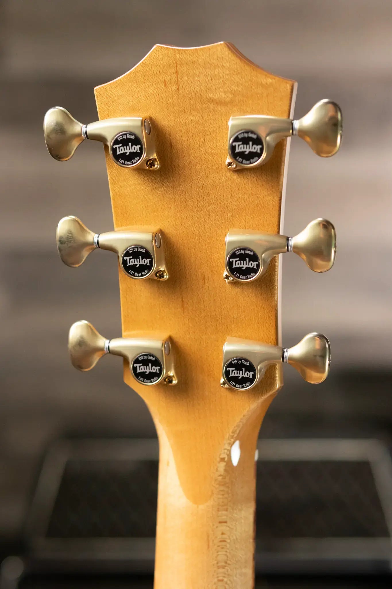 Taylor “Olive Branch” Custom Grand Auditorium Acoustic/Electric with Hardshell Case
