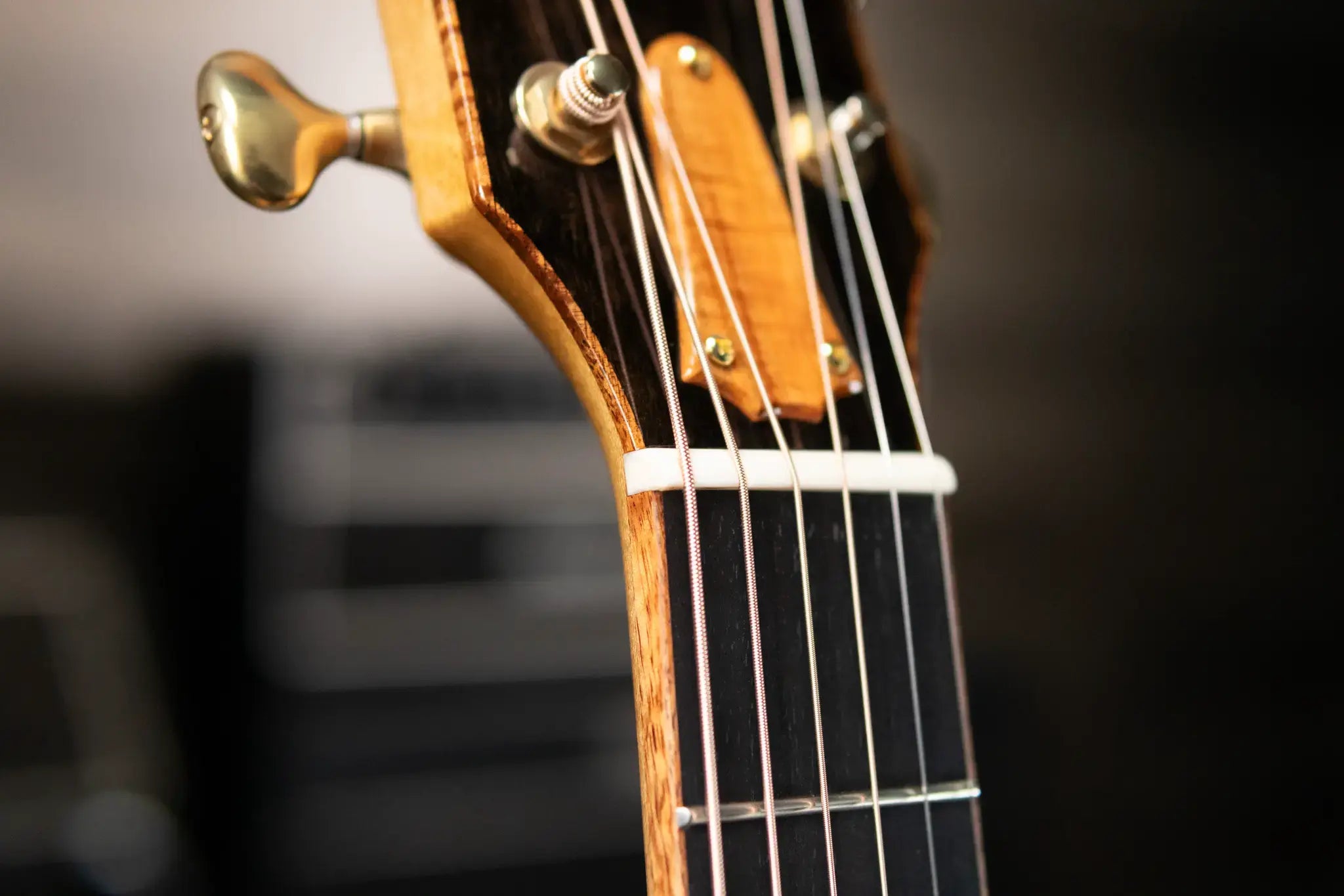 Taylor “Olive Branch” Custom Grand Auditorium Acoustic/Electric with Hardshell Case