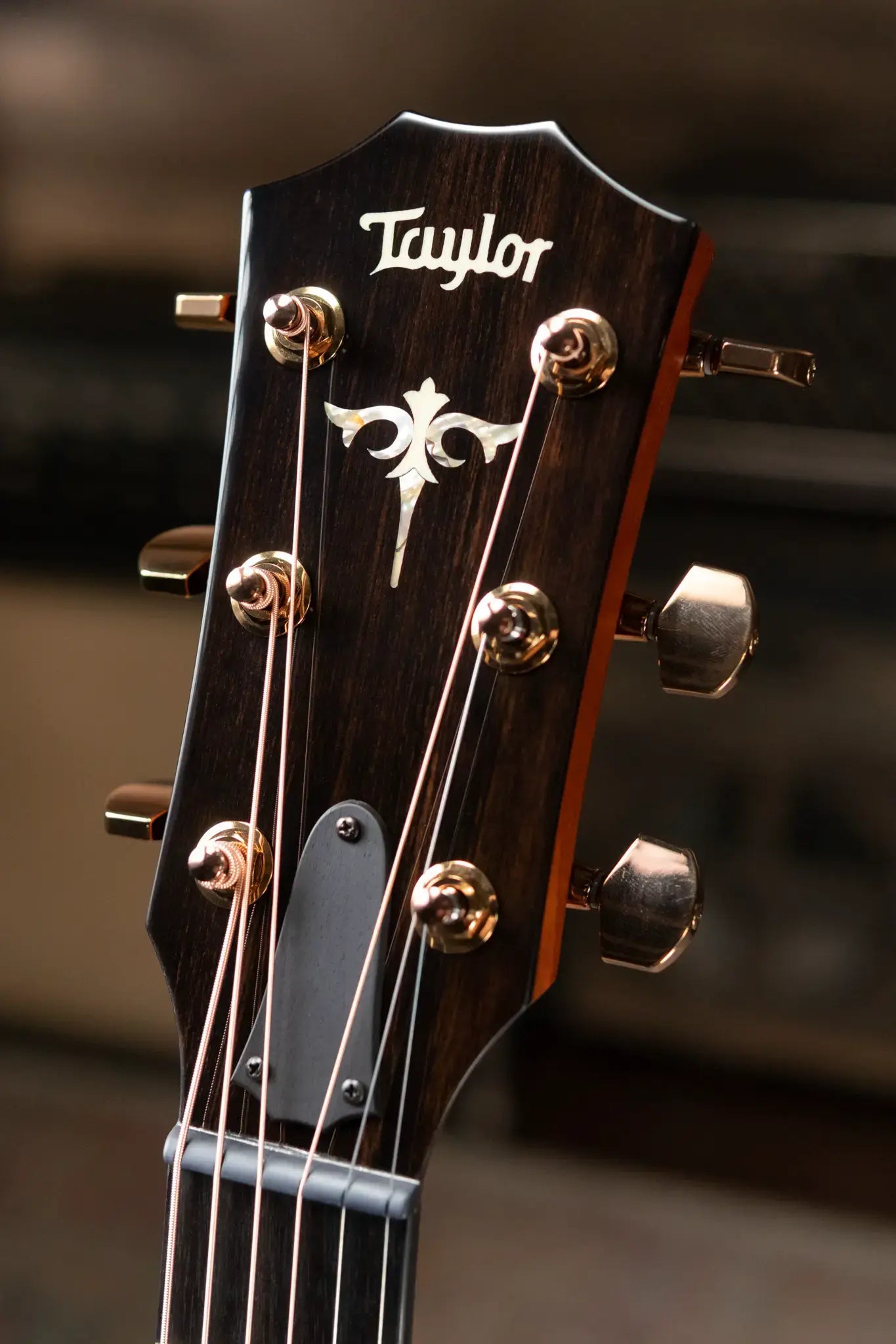 Taylor Custom Shop Grand Concert 12-Fret Acoustic/Electric - Black Top Mahogany/Mahogany with Hardshell Case