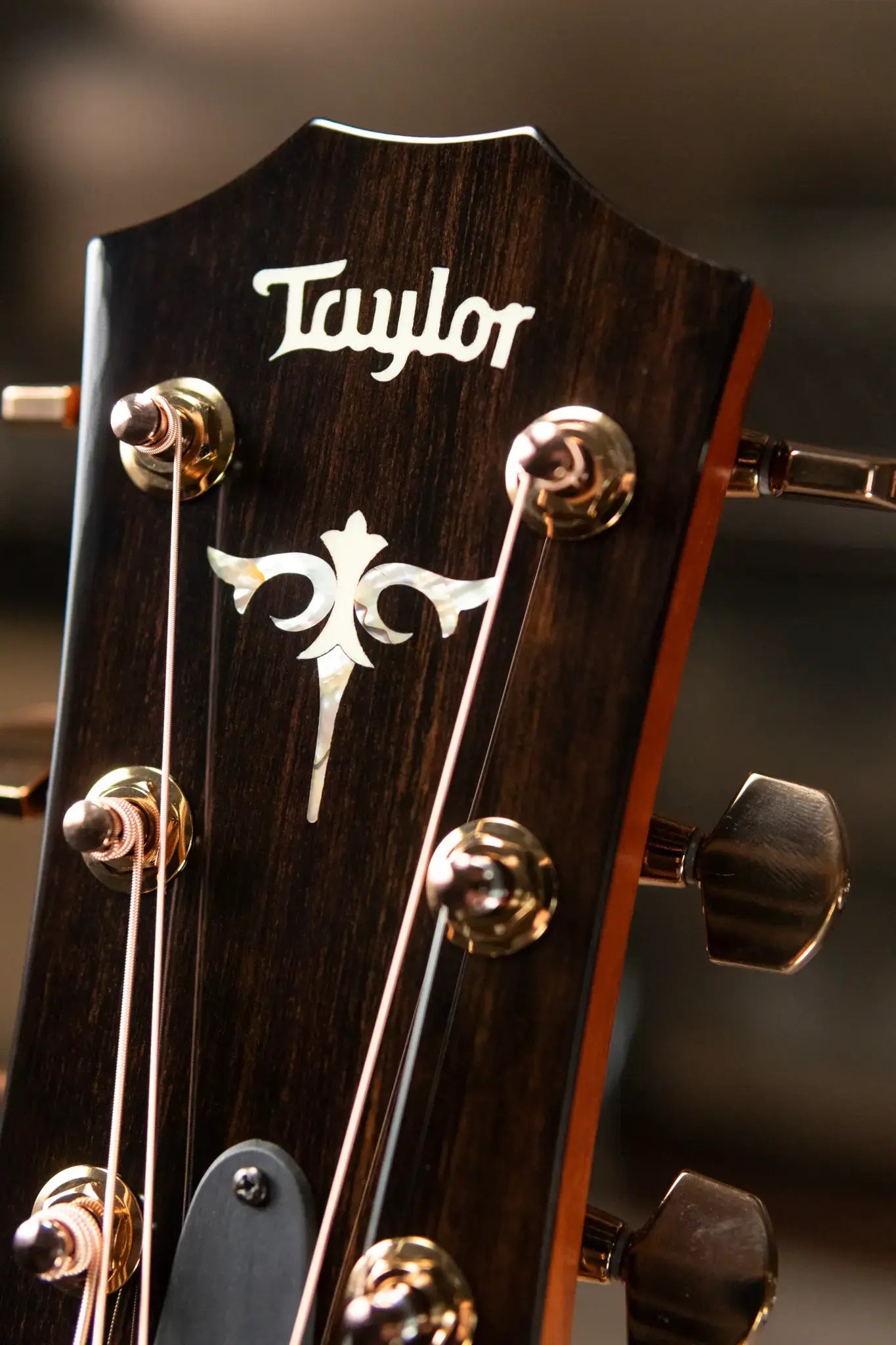 Taylor Custom Shop Grand Concert 12-Fret Acoustic/Electric - Black Top Mahogany/Mahogany with Hardshell Case