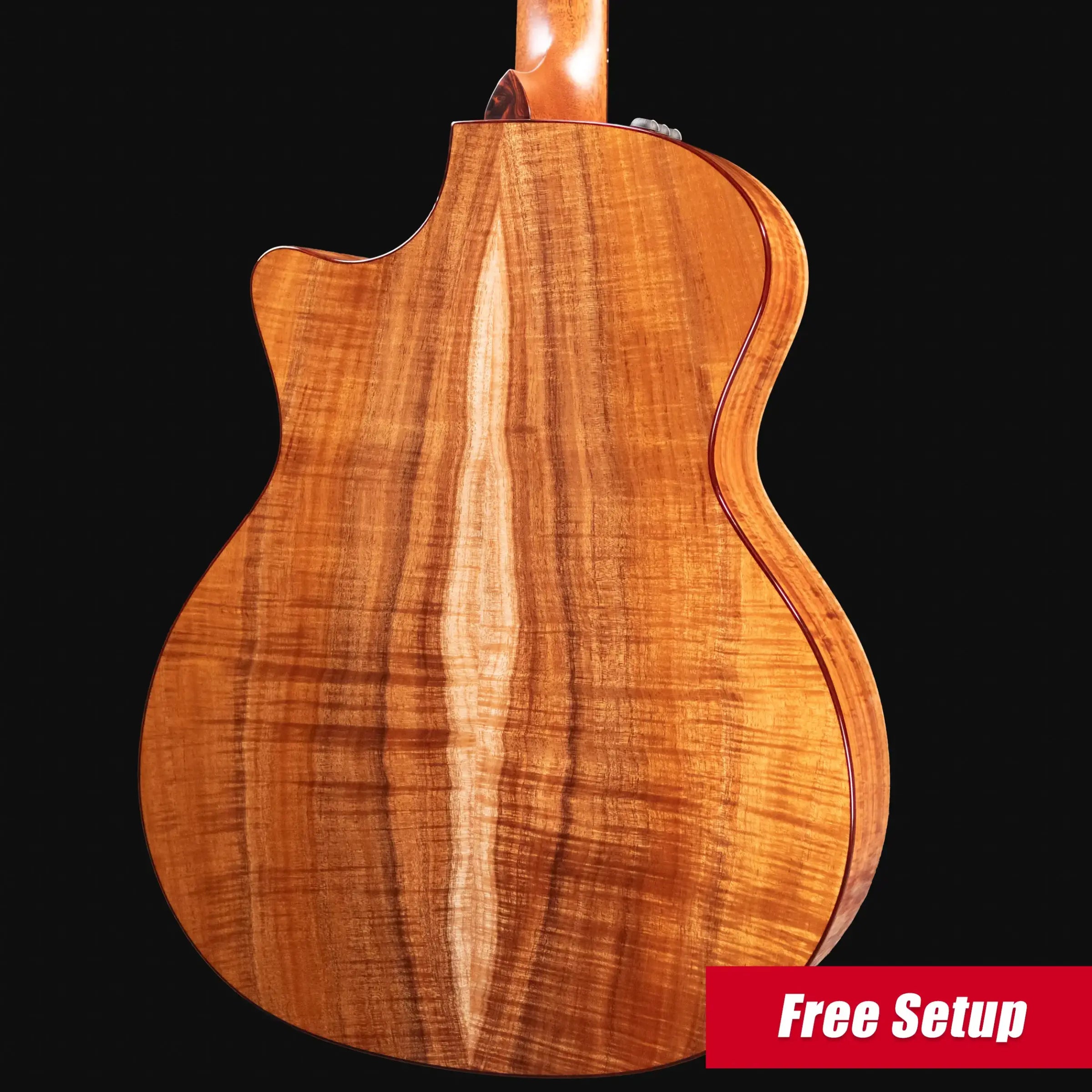 Taylor Custom Shop #12685 Grand Auditorium Acoustic/Electric Guitar with Hardshell Case