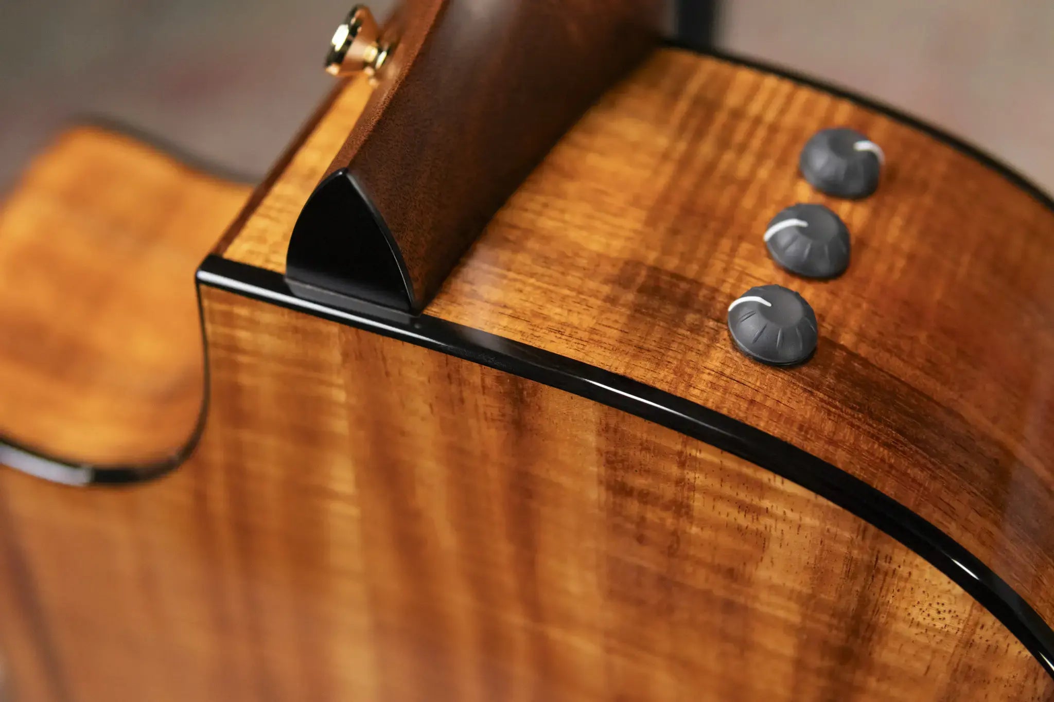Taylor Custom Shop 2025 Catch Event #43 Grand Auditorium Acoustic/Electric Guitar - AA Koa with Hardshell Case