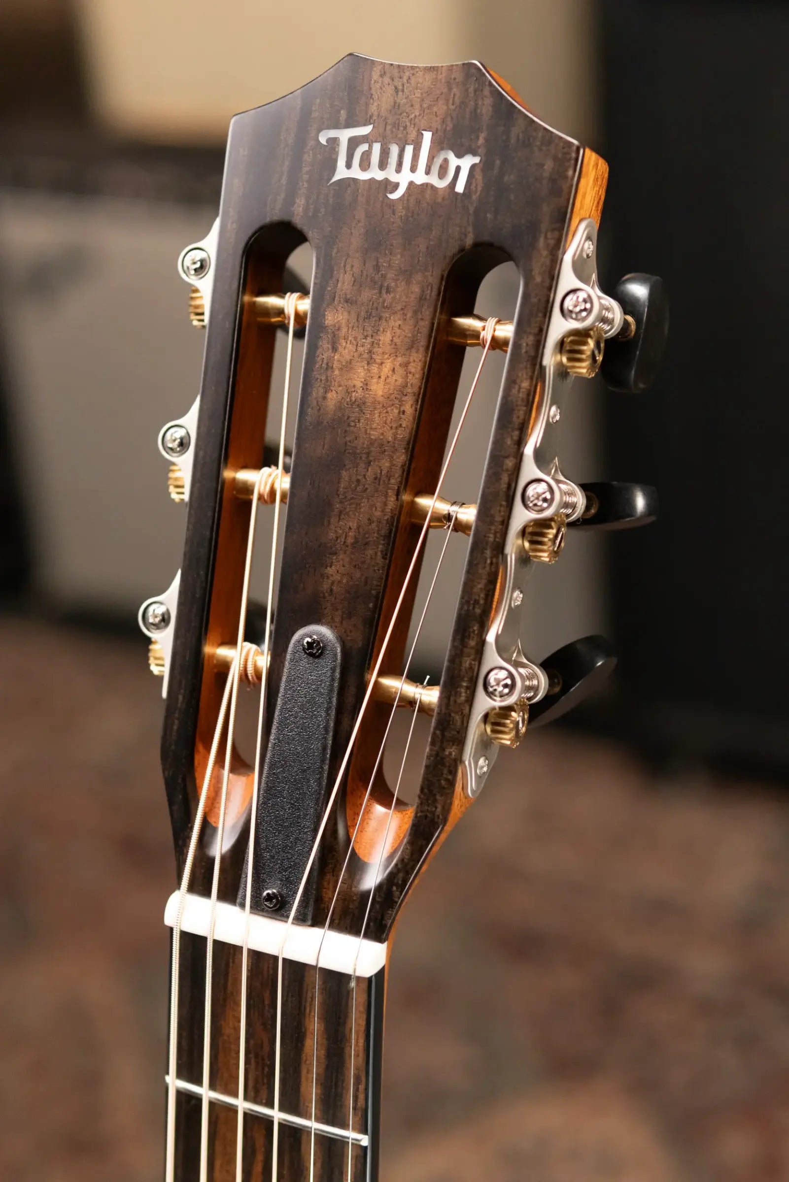 Taylor Custom Shop 312ce 12-Fret Grand Concert Acoustic/Electric Guitar - Walnut/Cedar with Hardshell Case - Factory Demo