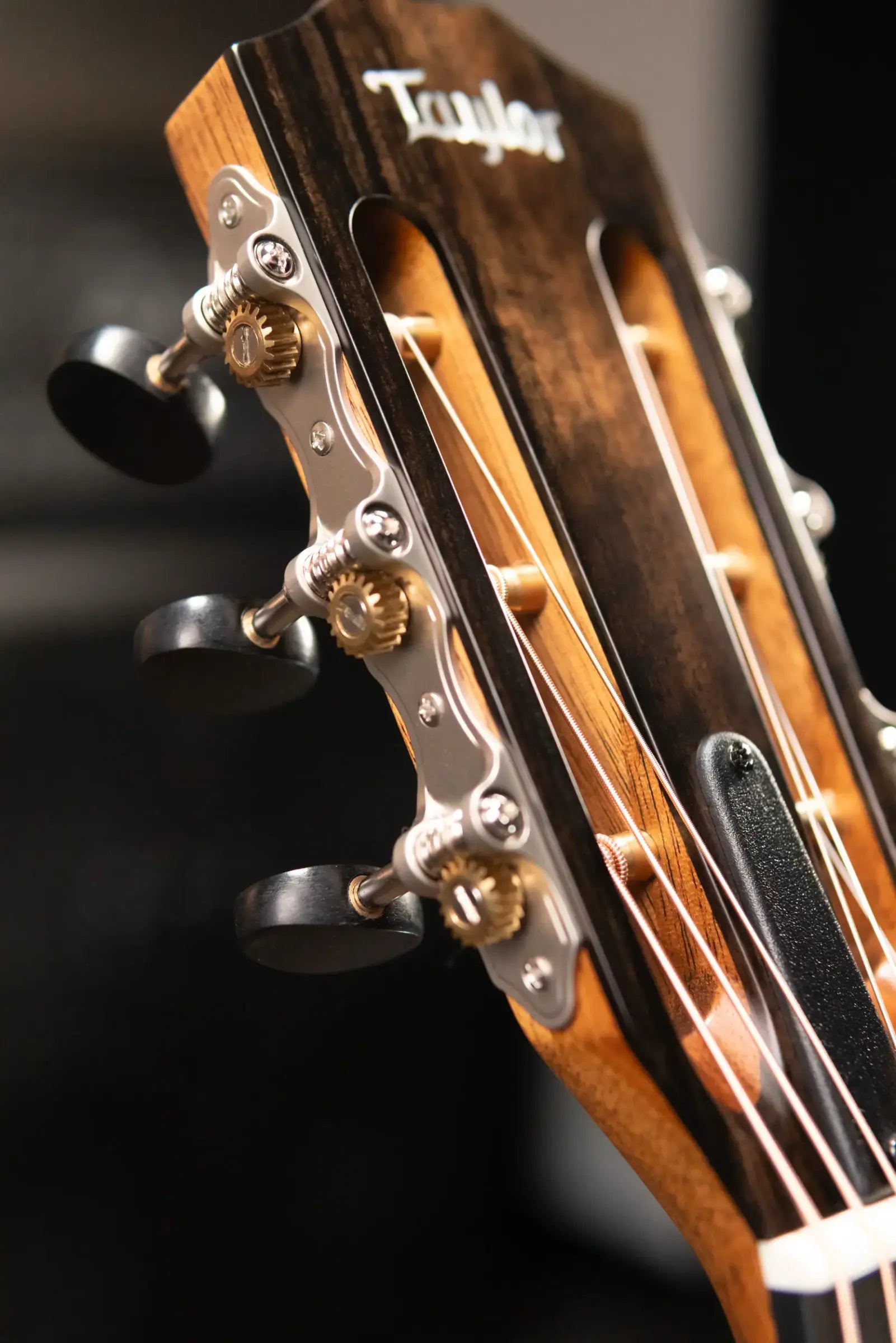 Taylor Custom Shop 312ce 12-Fret Grand Concert Acoustic/Electric Guitar - Walnut/Cedar with Hardshell Case - Factory Demo