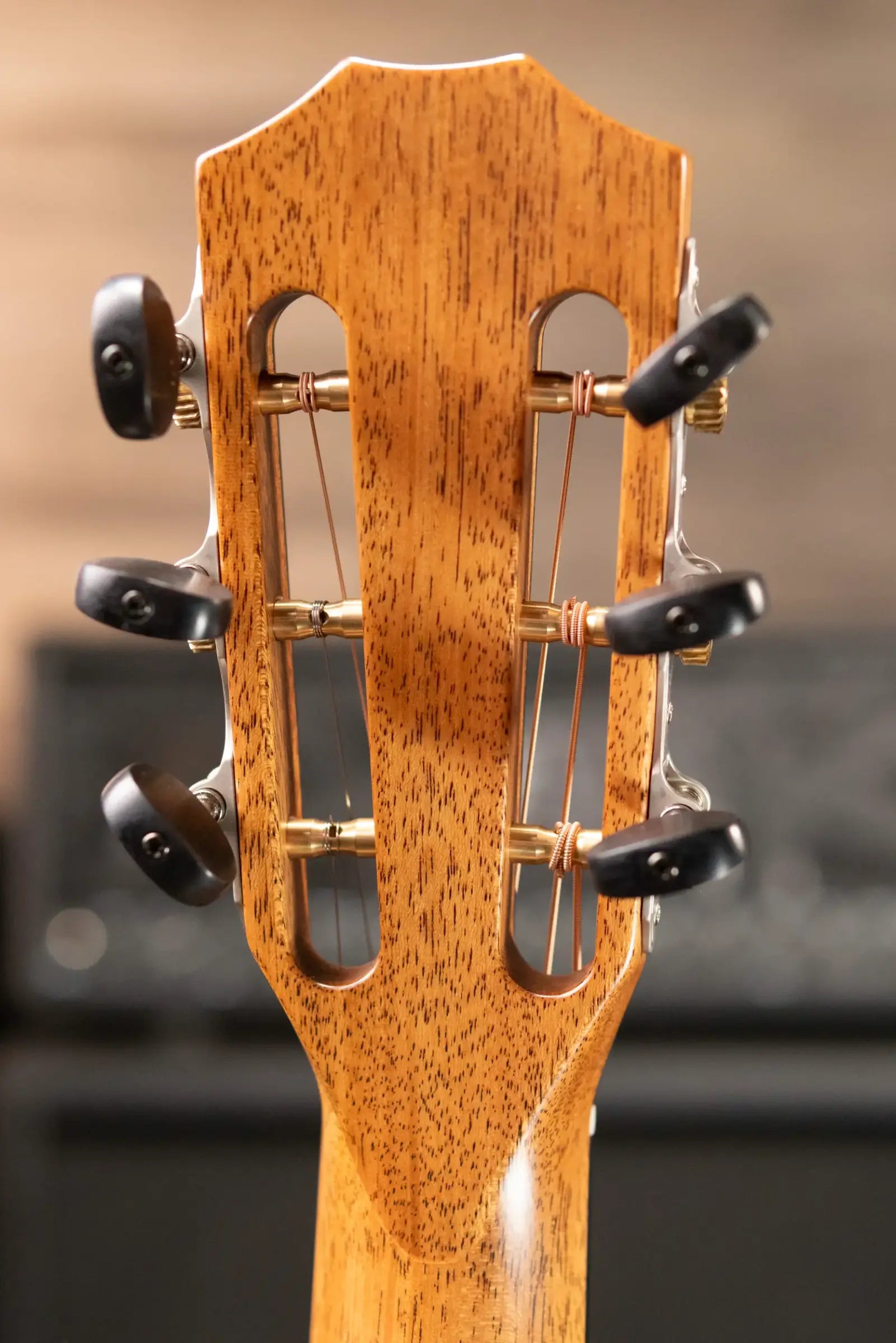 Taylor Custom Shop 312ce 12-Fret Grand Concert Acoustic/Electric Guitar - Walnut/Cedar with Hardshell Case - Factory Demo