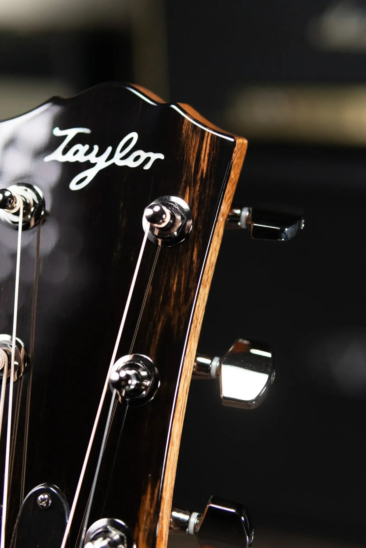 Taylor Custom Shop #C0005 Gold Label Grand Pacific Acoustic/Electric Guitar with Hardshell Case