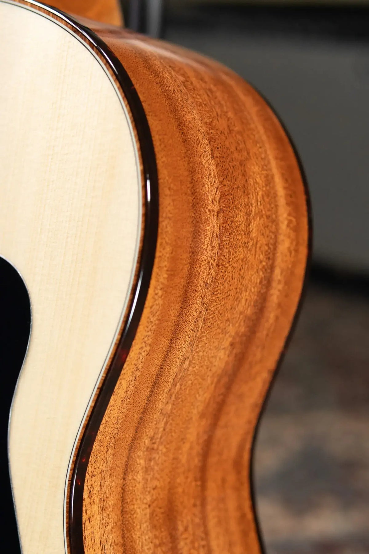Taylor Custom Shop #C0005 Gold Label Grand Pacific Acoustic/Electric Guitar with Hardshell Case
