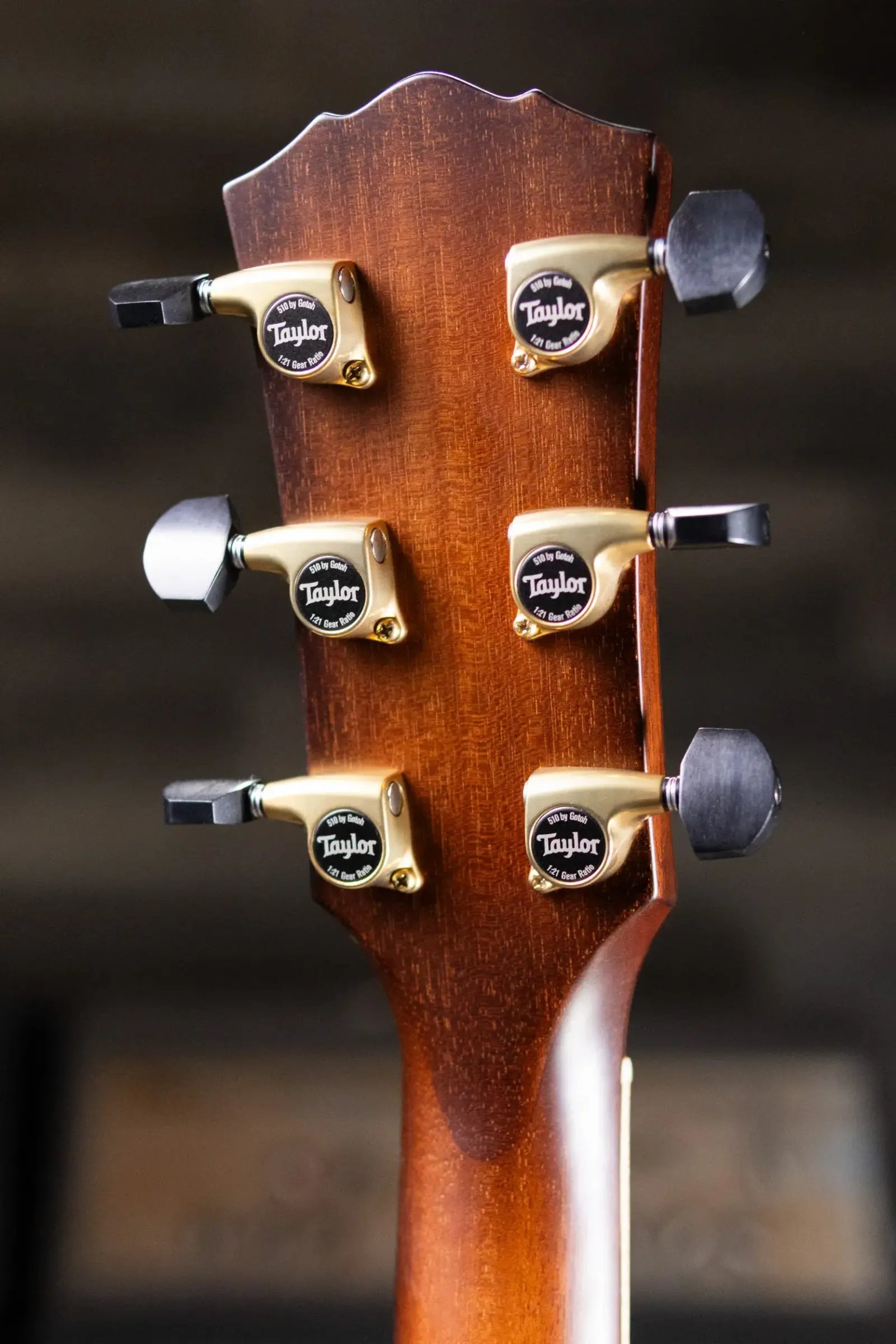 Taylor Custom Shop #C0023 Gold Label Super Auditorium Acoustic/Electric Guitar with Hardshell Case